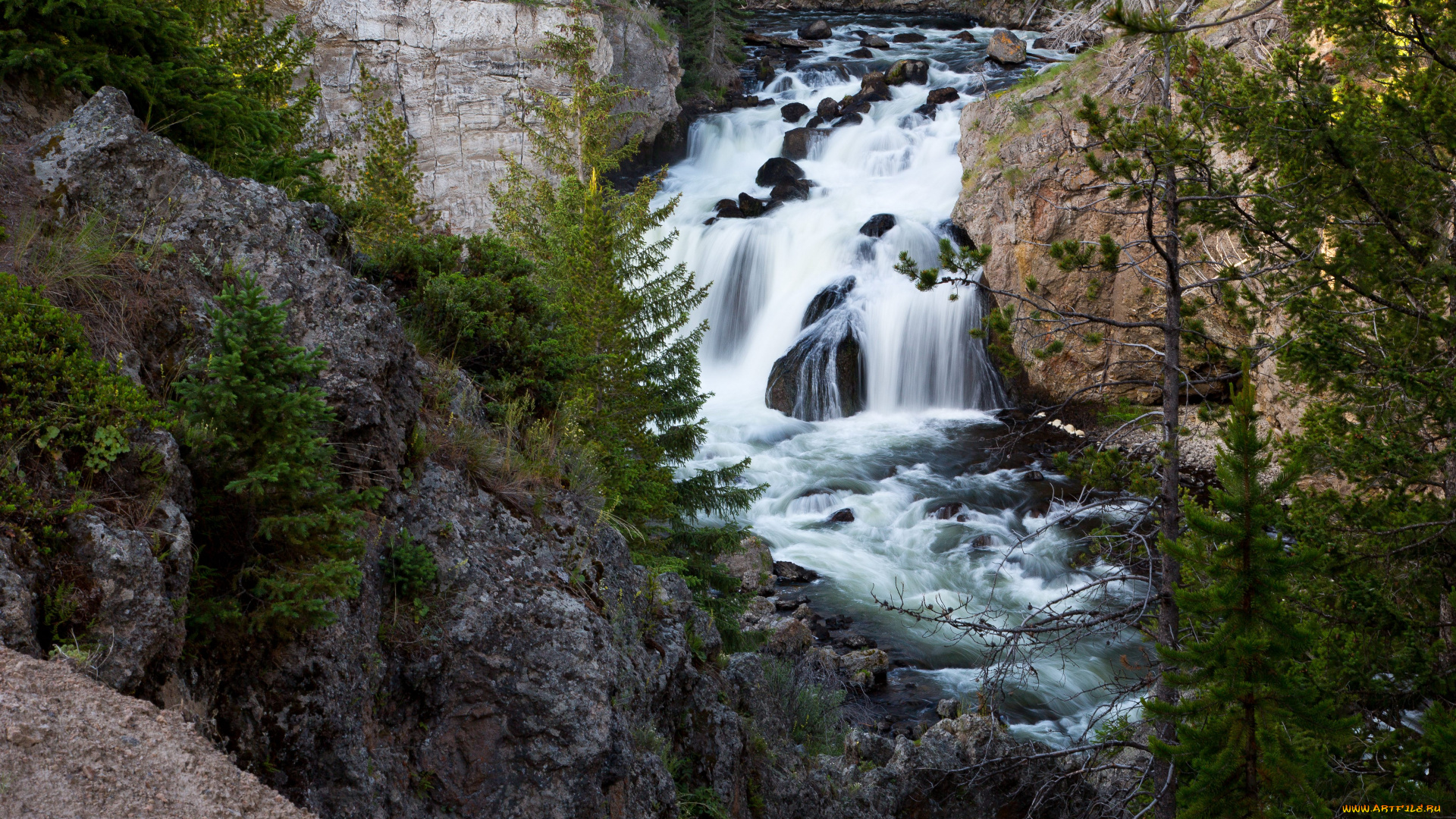 природа, реки, озера, вода, поток