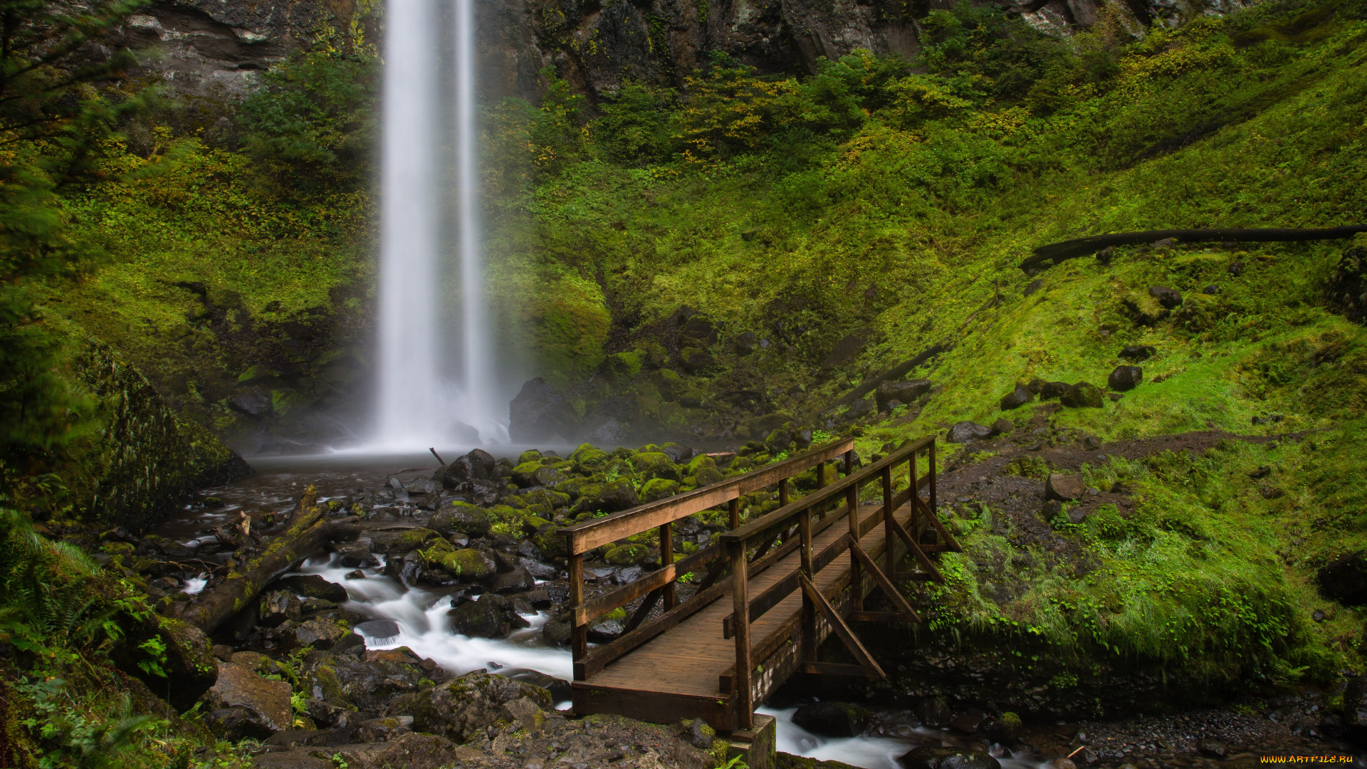 природа, реки, озера, вода, поток, мостик