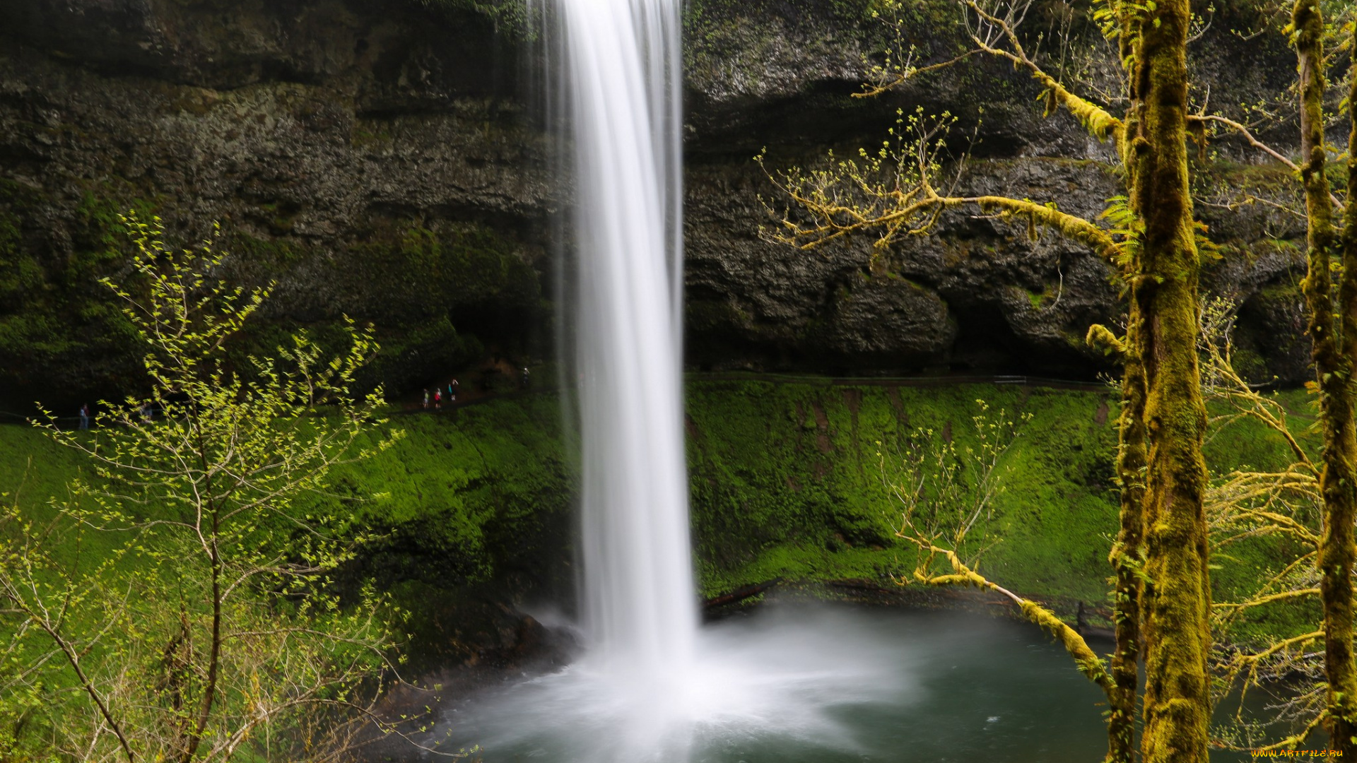 природа, водопады, вода, поток