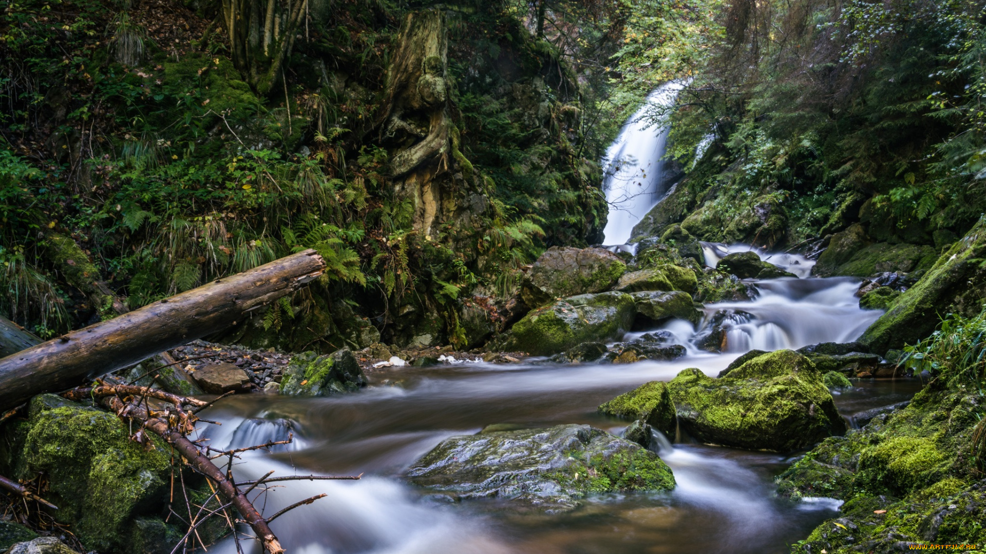 природа, водопады, водопад, бревна, камни, лес, река