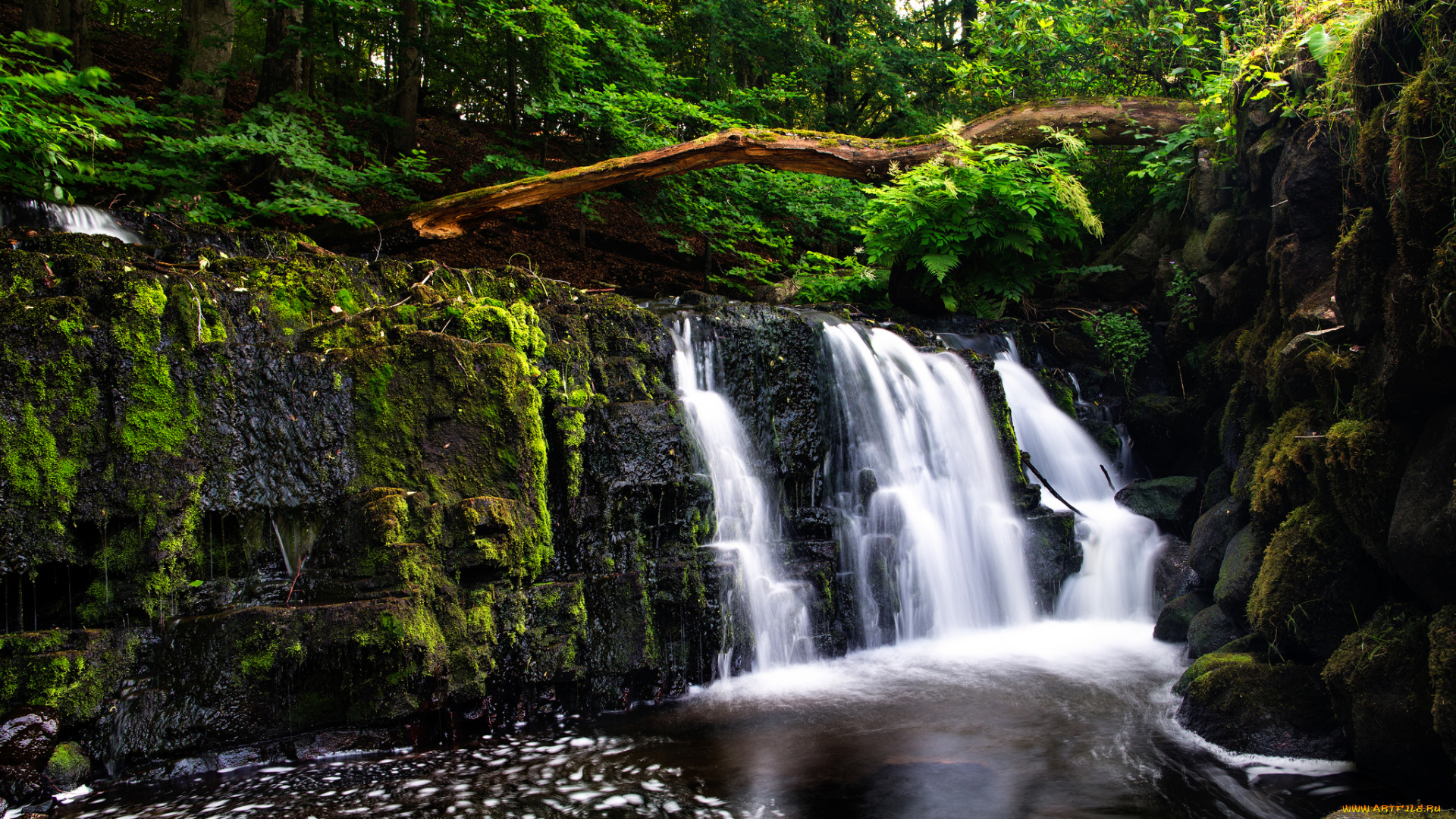 природа, водопады, водопад, обрыв, река, лес, стволы