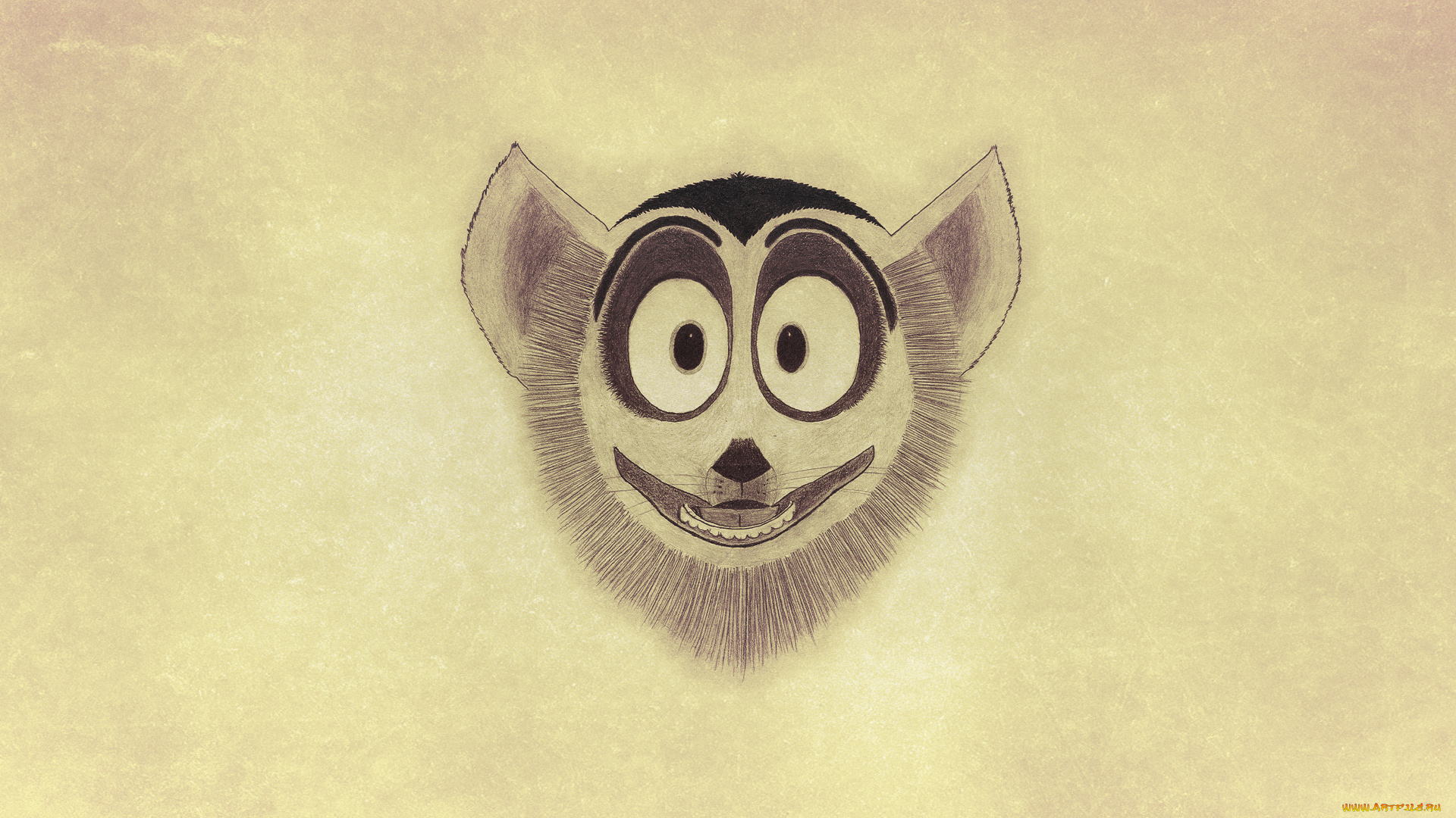 рисованные, минимализм, кошачий, лемур, король, джулиан, мордаха, madagascar, мадагаскар