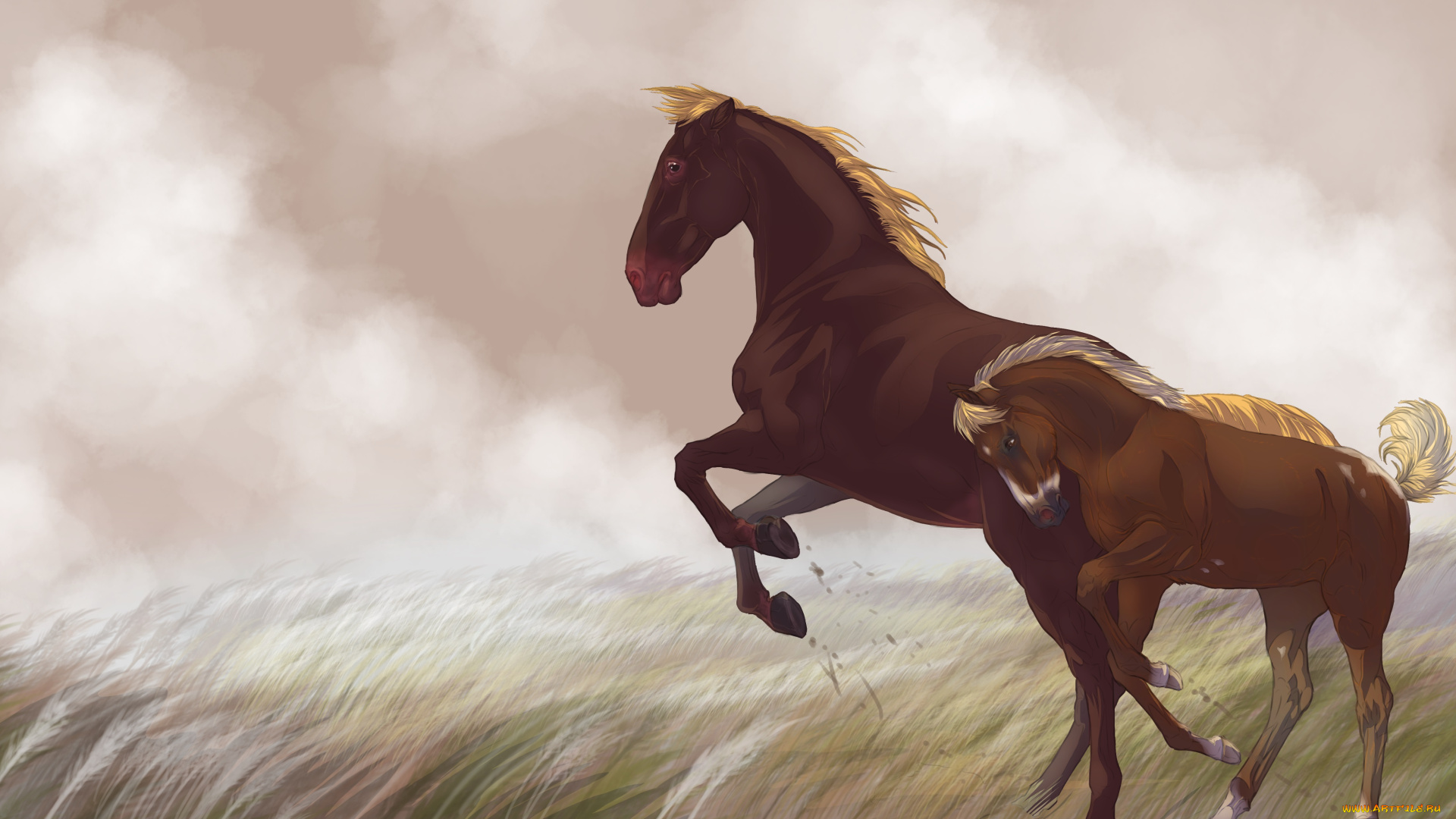 рисованные, животные, лошади, лошадка