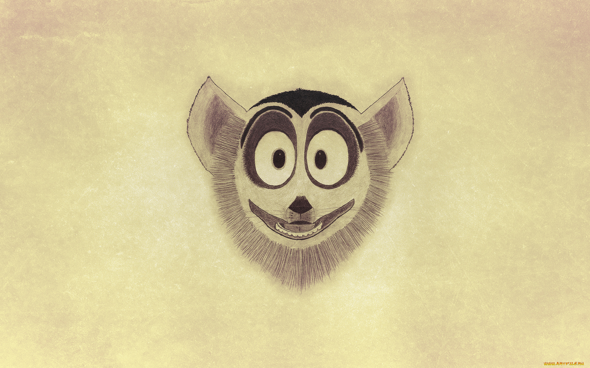 рисованные, минимализм, кошачий, лемур, король, джулиан, мордаха, madagascar, мадагаскар