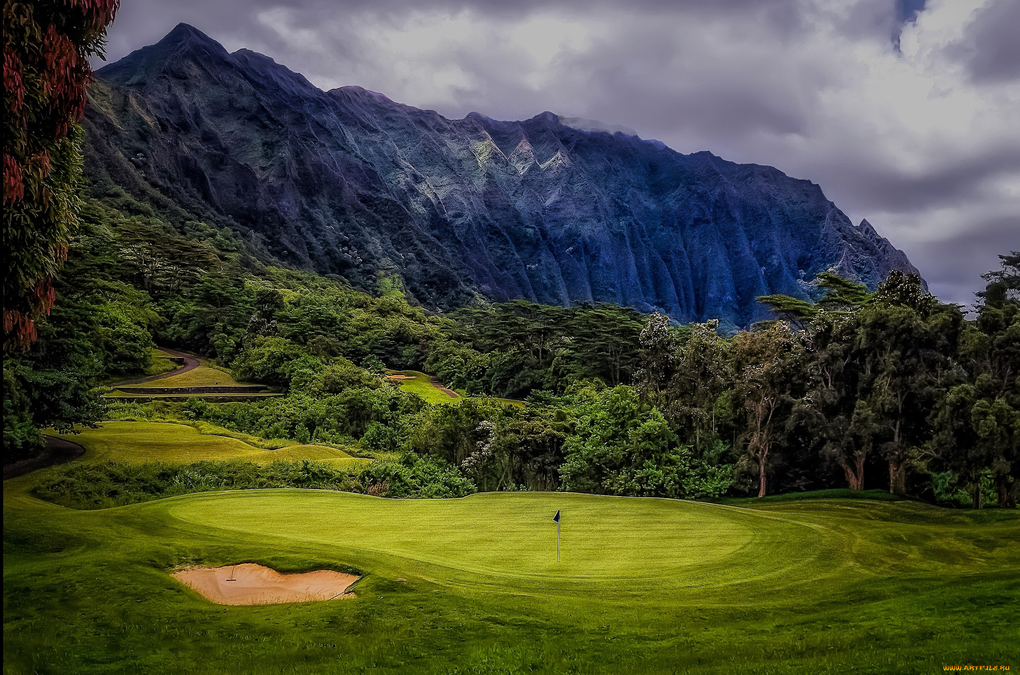 природа, пейзажи, трава, лес, горы, поляна