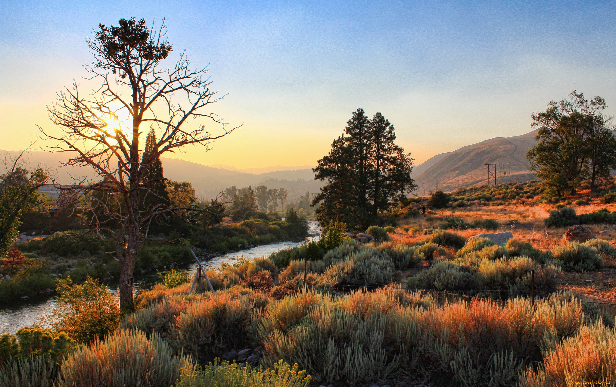 природа, реки, озера, деревья, река, трава, горы