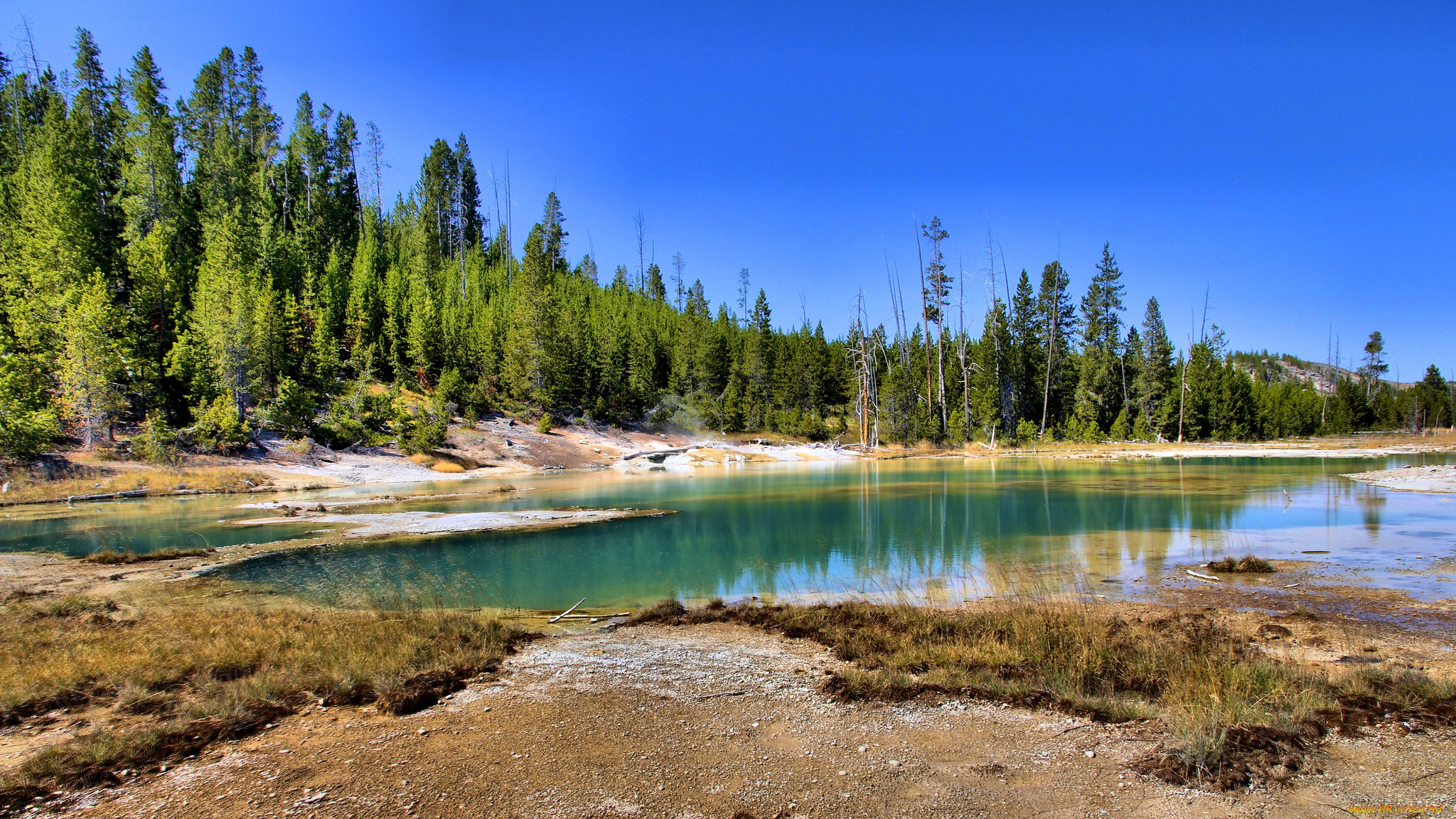 природа, реки, озера, озеро, лес, отмель, трава