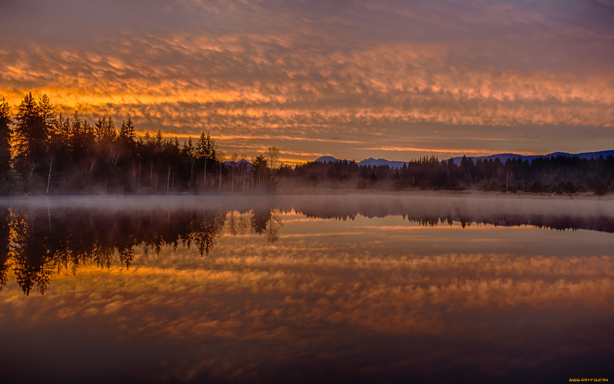 lake, kirchsee, bavaria, germany, природа, реки, озера, лес, утро, туман, отражение, рассвет, германия, бавария, озеро, кирхзее