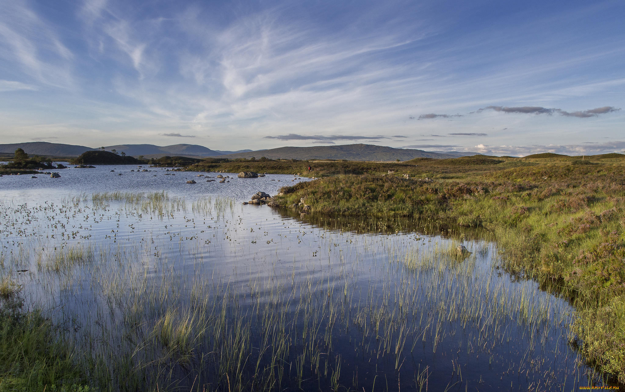природа, реки, озера, река, трава, холмы, равнина, облака