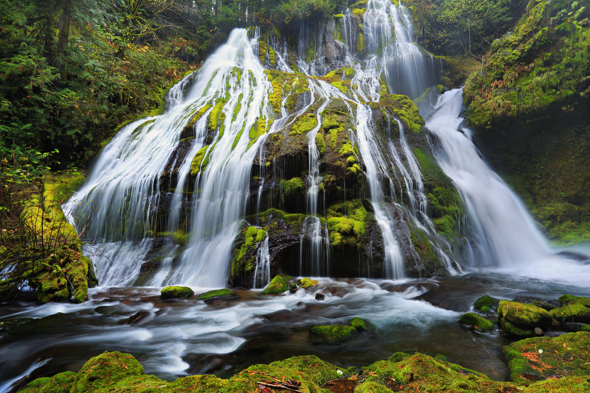 panther, creek, falls, columbia, river, gorge, oregon, природа, водопады, камни, мох, орегон