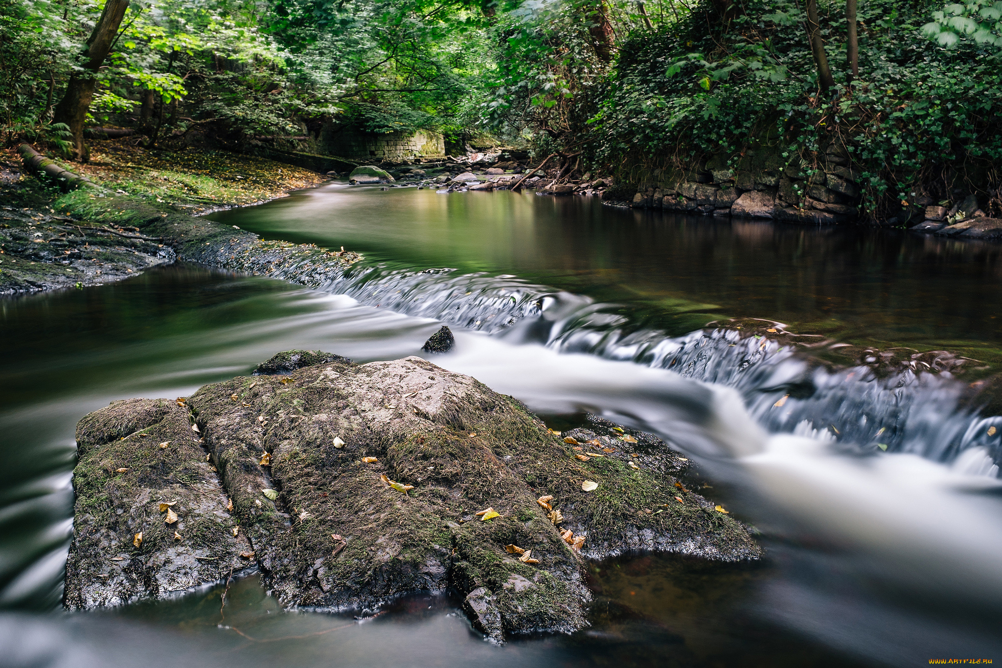 природа, реки, озера, камни, лес, река