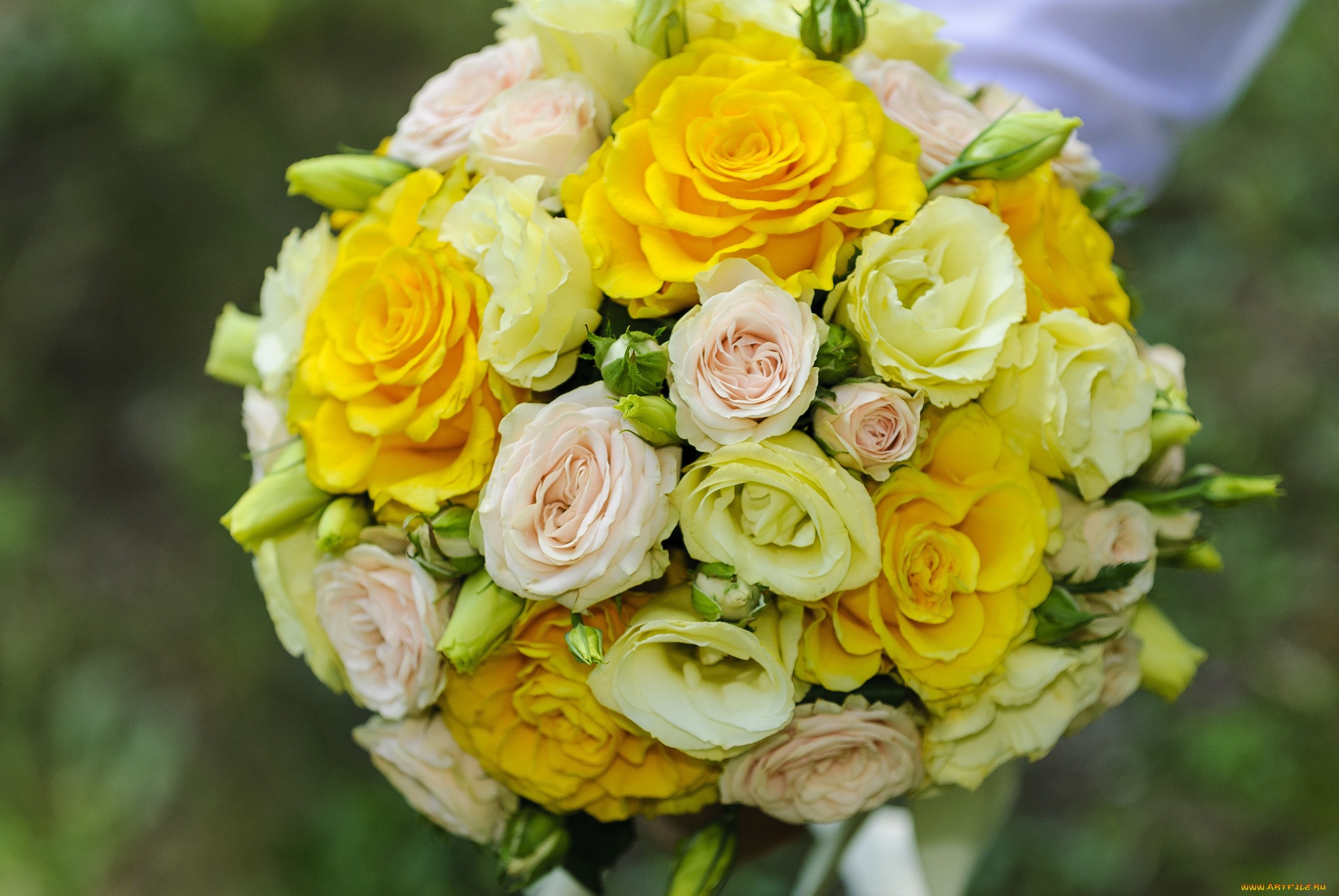 цветы, букеты, композиции, розы, эустома