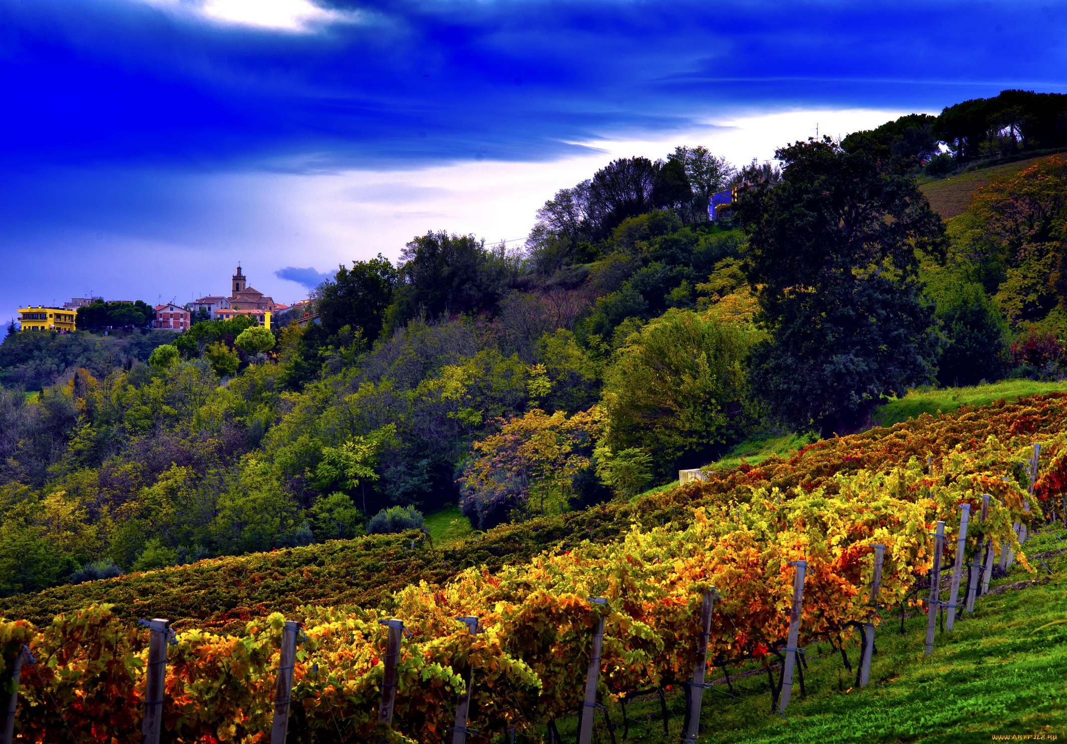 природа, пейзажи, пейзаж, виноградники, сады