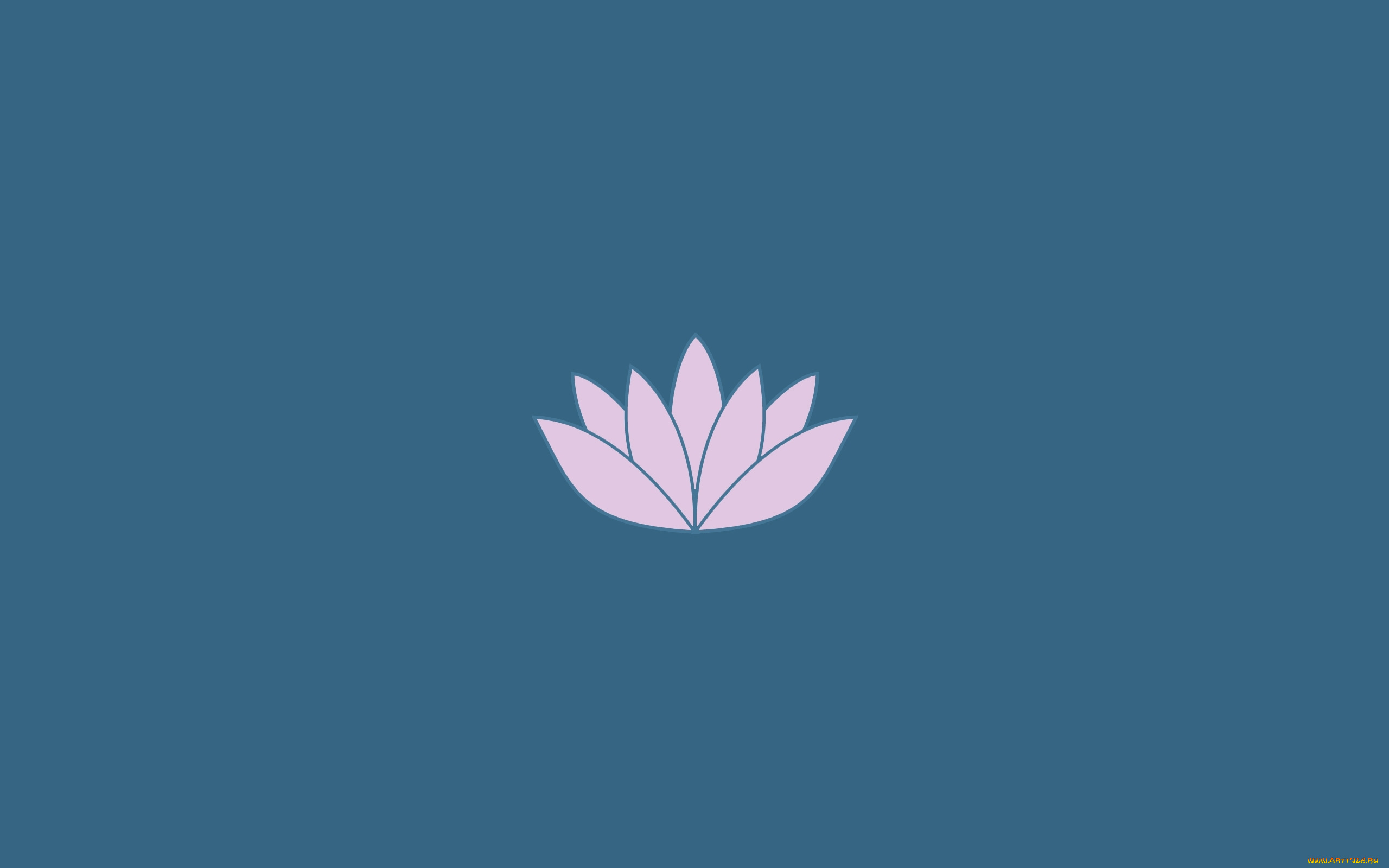 рисованные, минимализм, лепестки