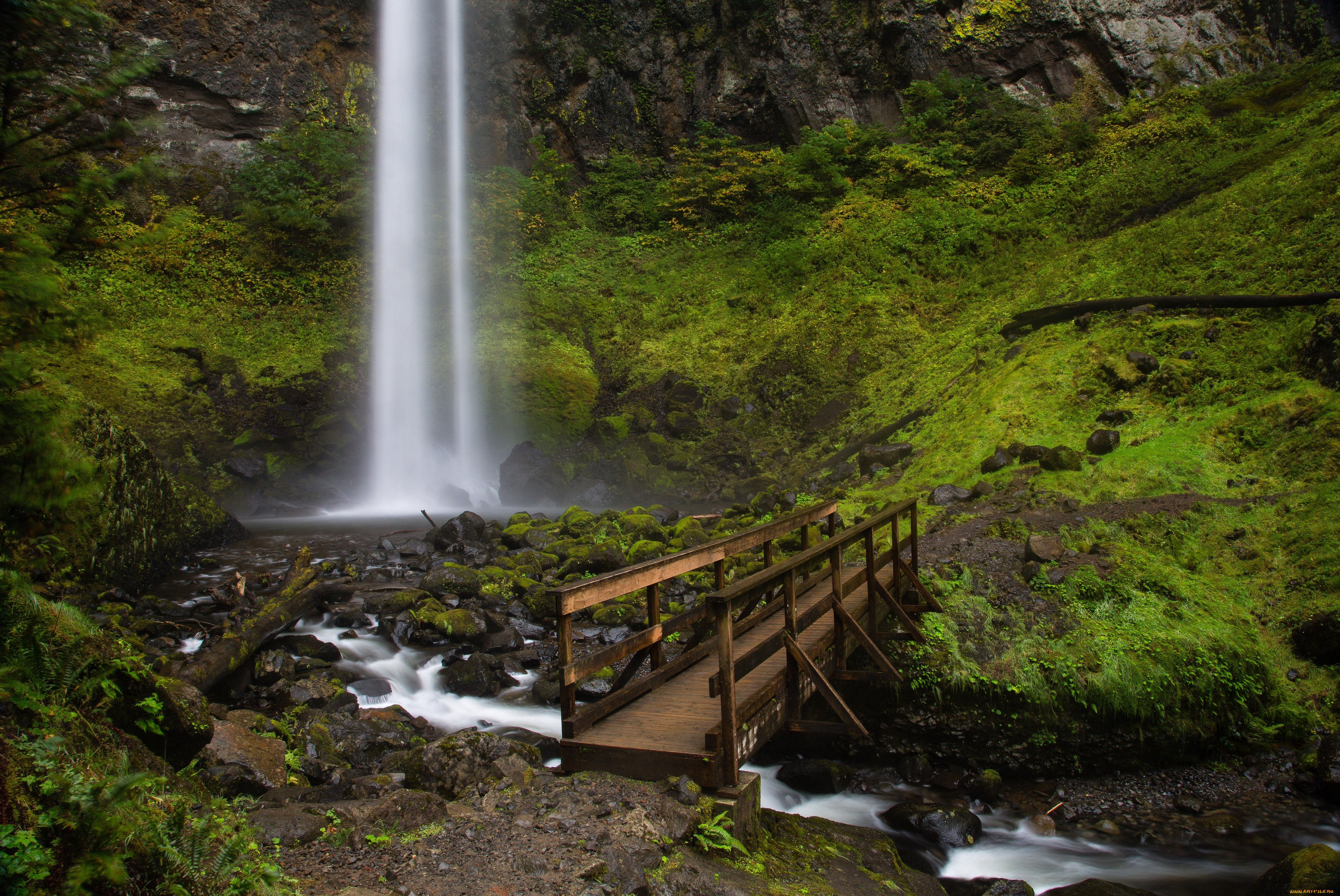 природа, реки, озера, вода, поток, мостик