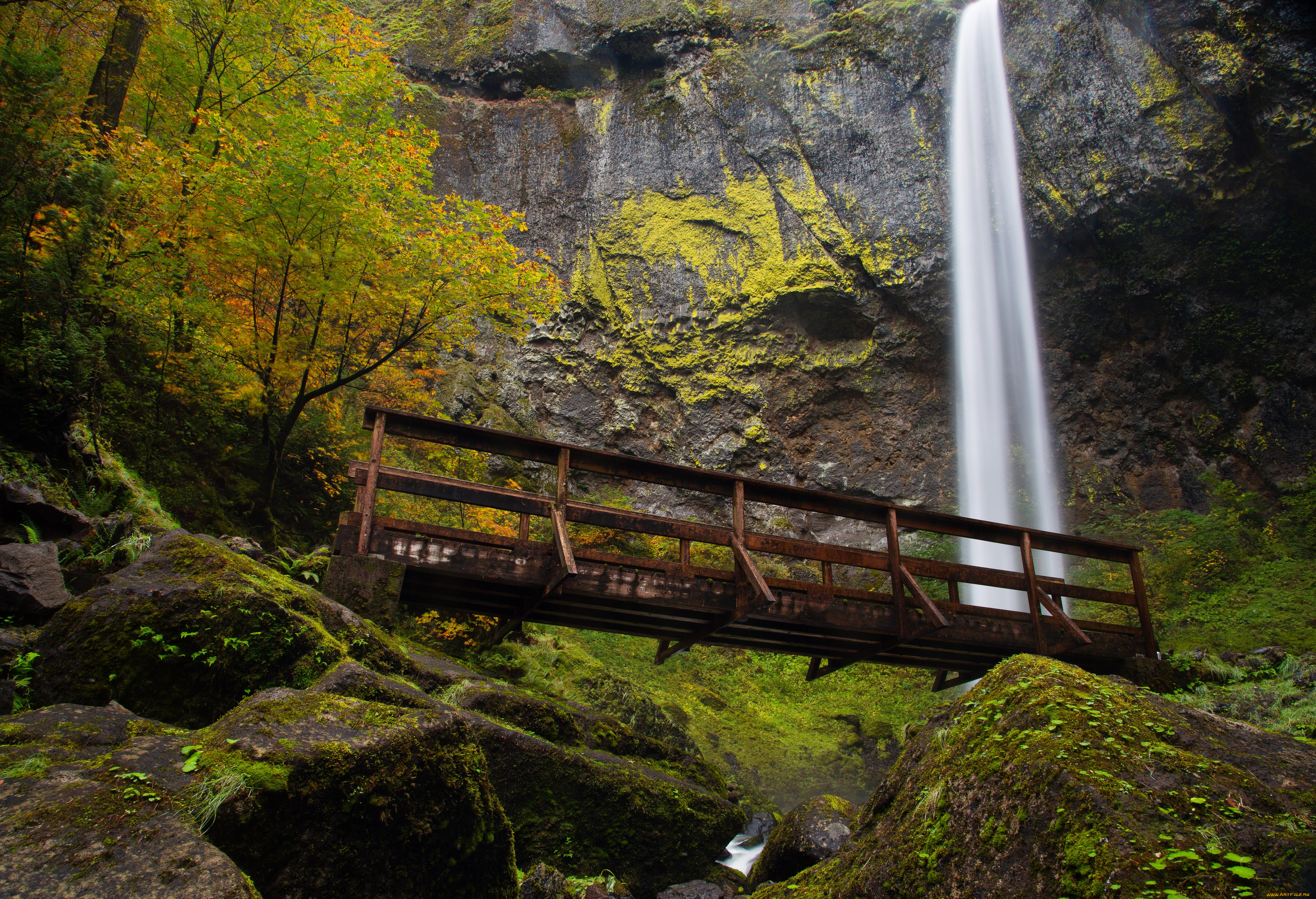 природа, реки, озера, мостик, вода, поток