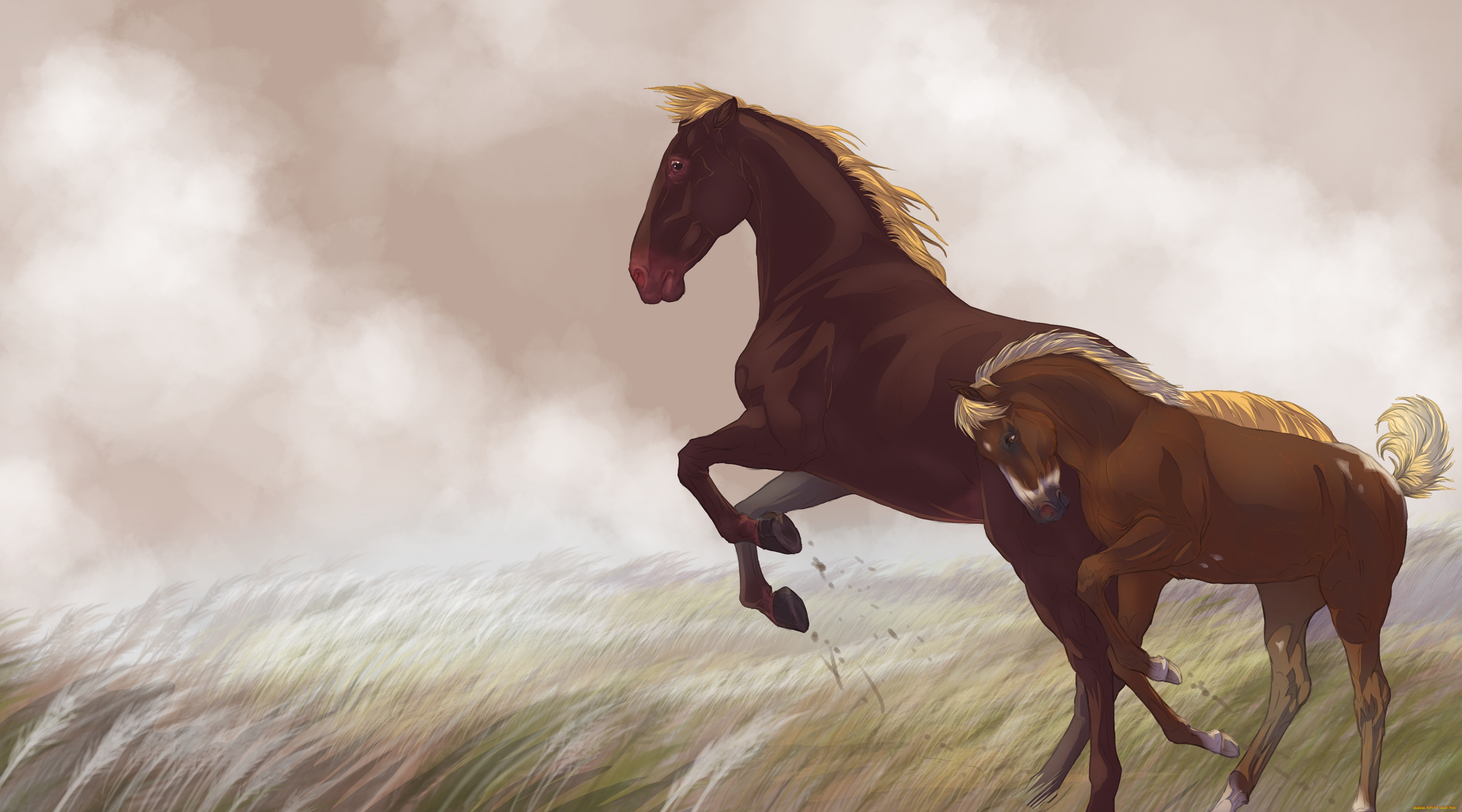 рисованные, животные, лошади, лошадка