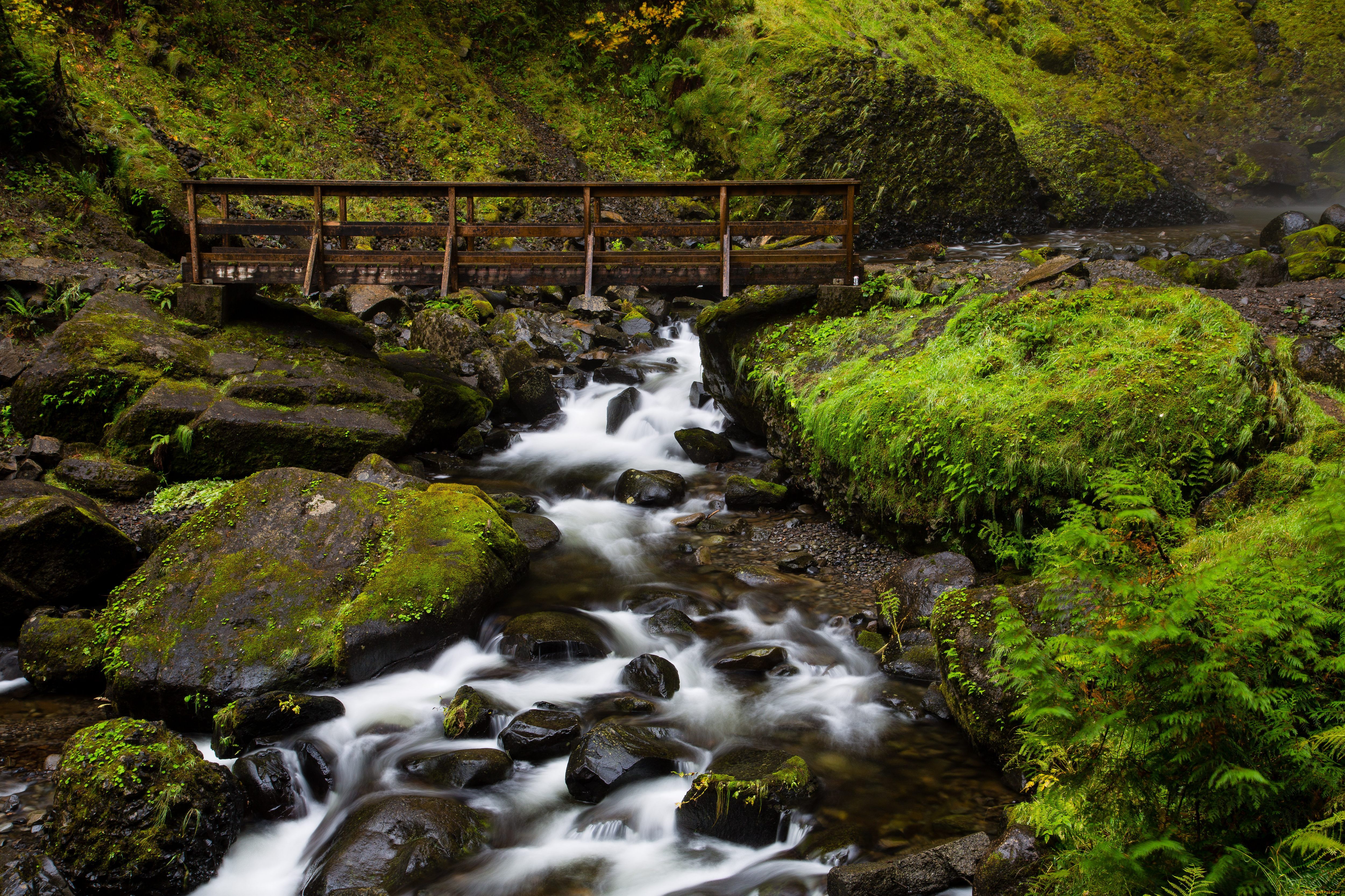 природа, реки, озера, поток, вода