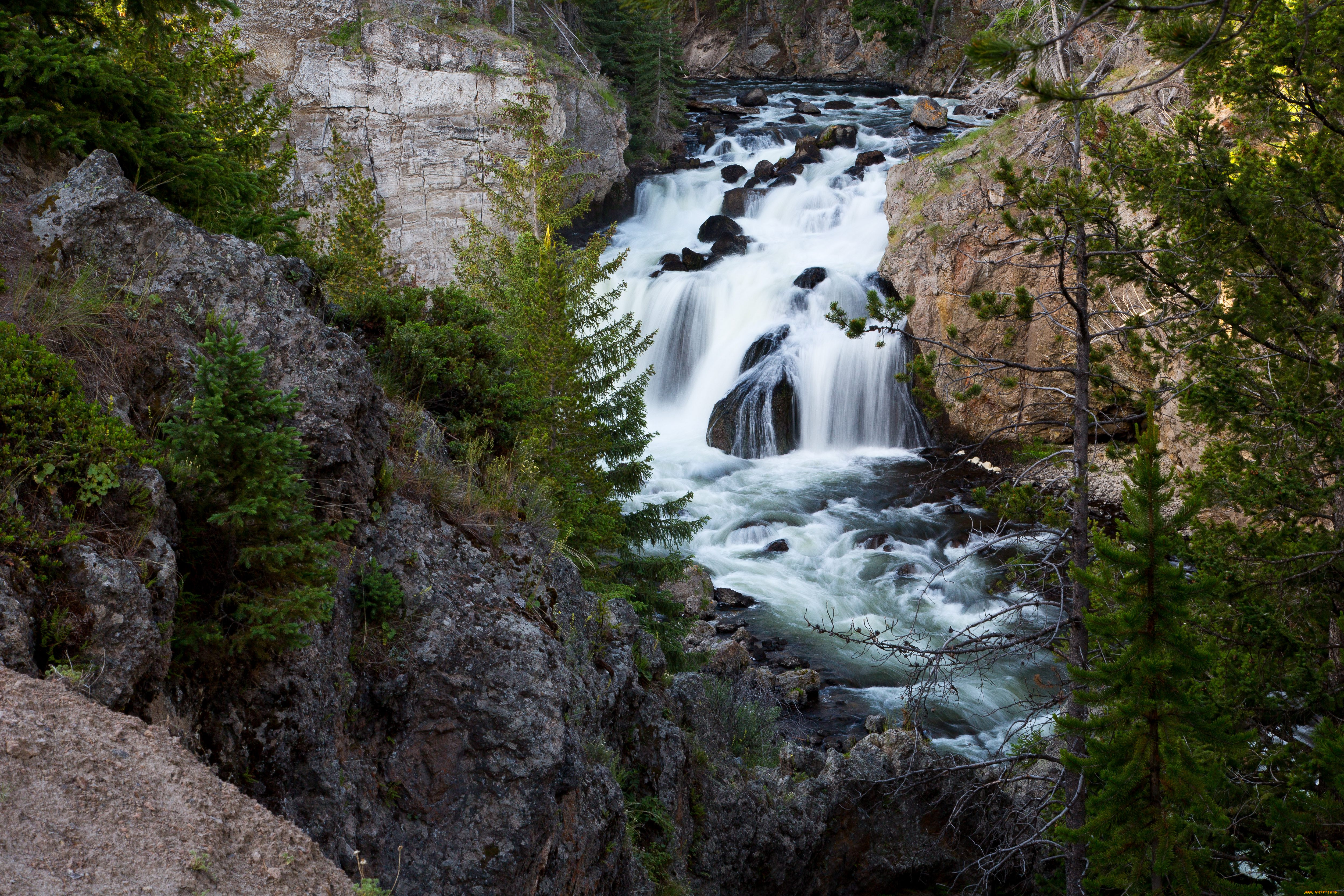 природа, реки, озера, вода, поток