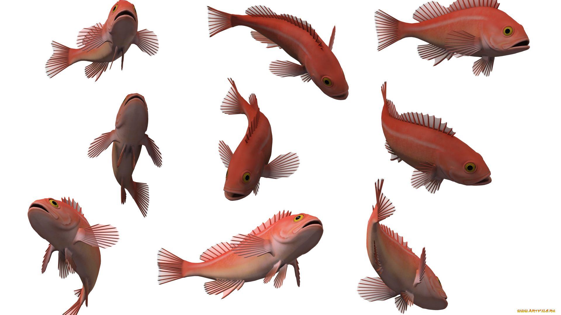 3д, графика, животные, , animals, рыбы