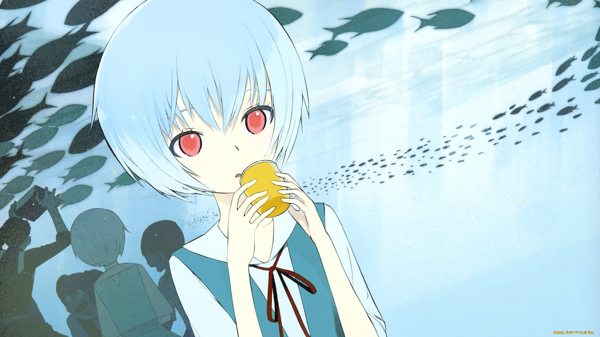 аниме, evangelion, арт, девушка, genesis, neon, рыбы, чашка, взгляд