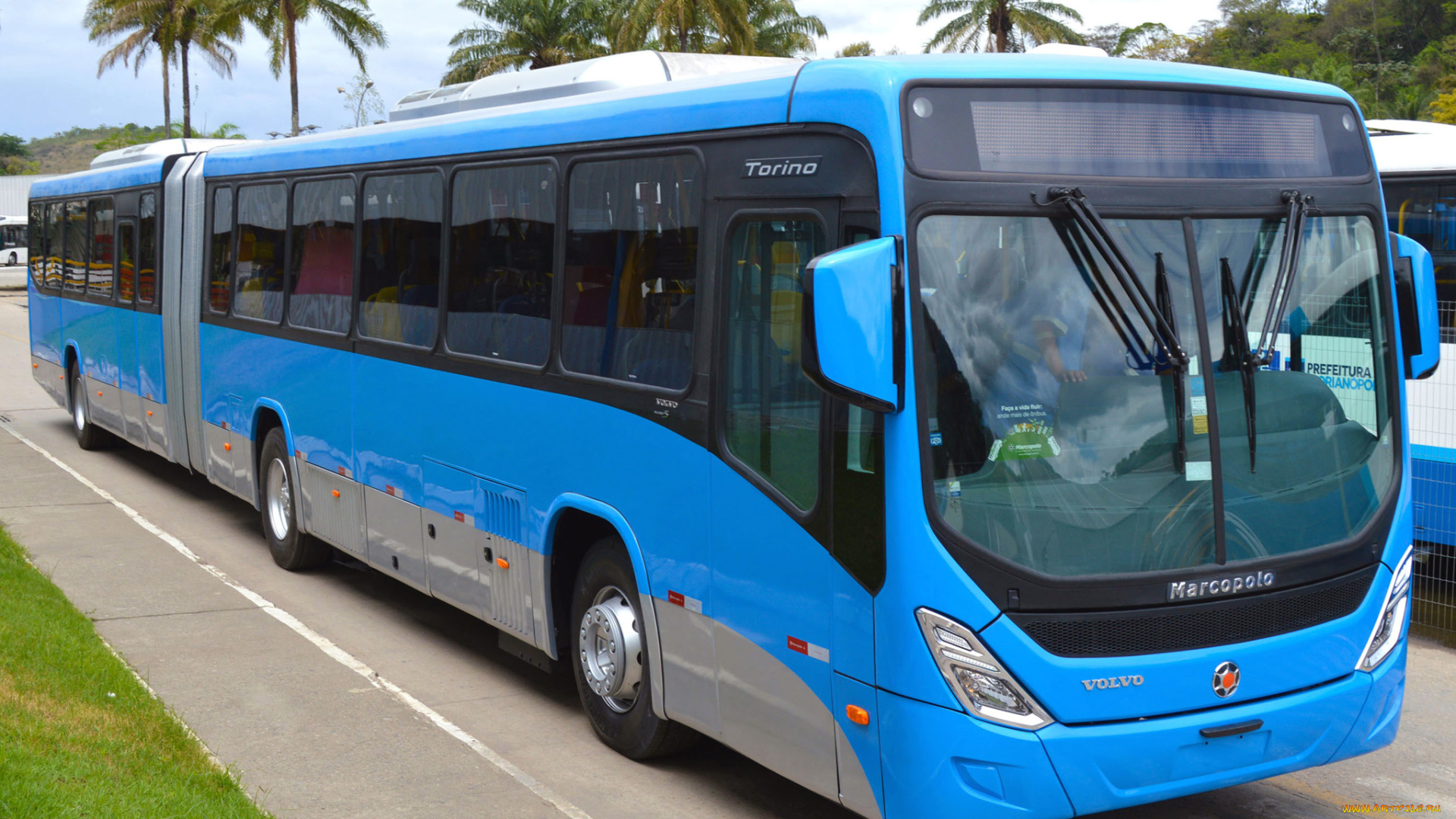 автомобили, автобусы, синий, marcopolo, torino, articulado, 2014г