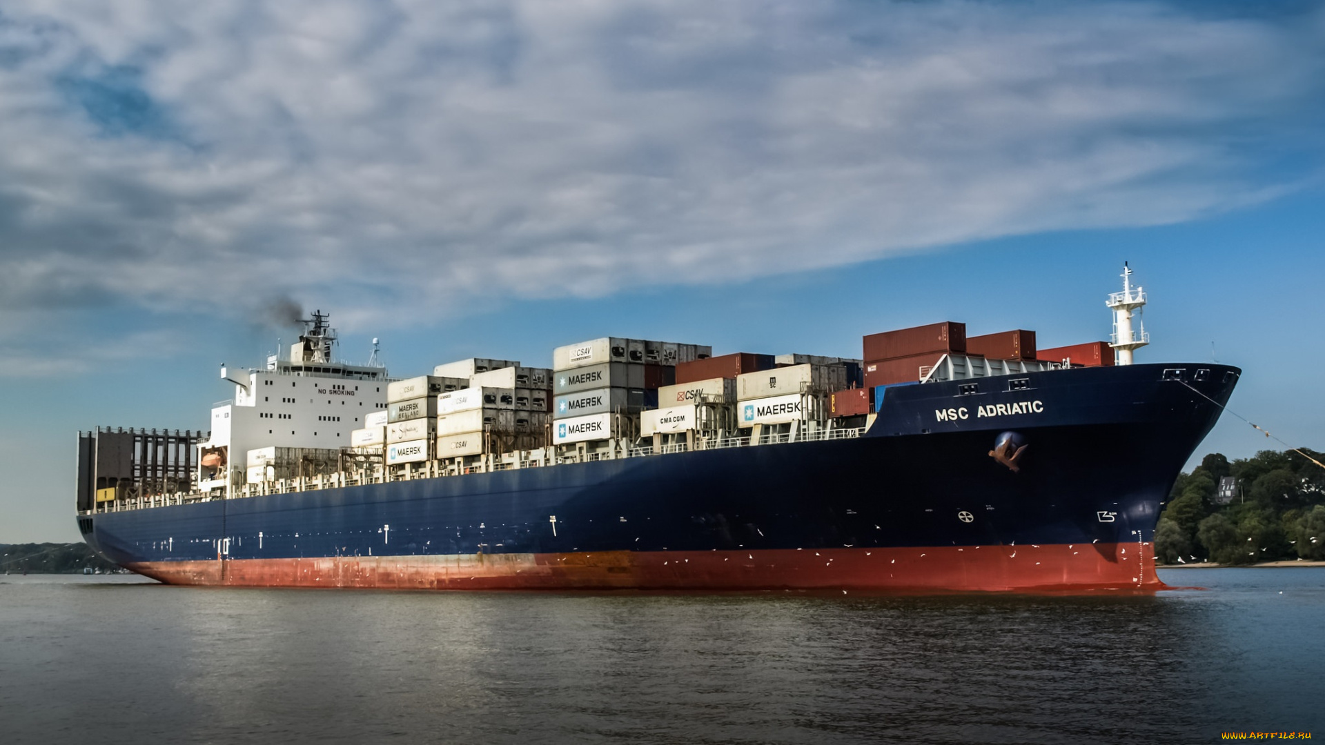 msc, adriatic, корабли, грузовые, суда, контейнеровоз