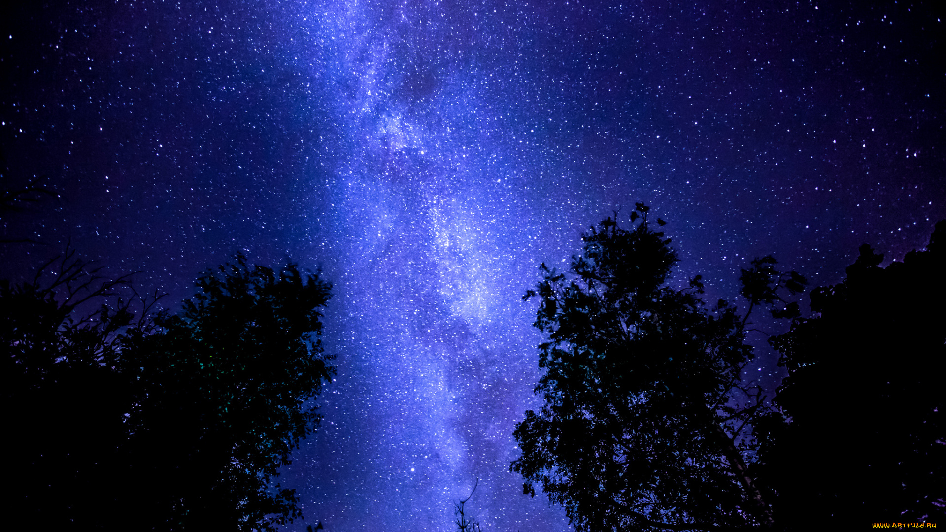 разное, компьютерный, дизайн, млечный, путь, небо, деревья, ночь, звёзды
