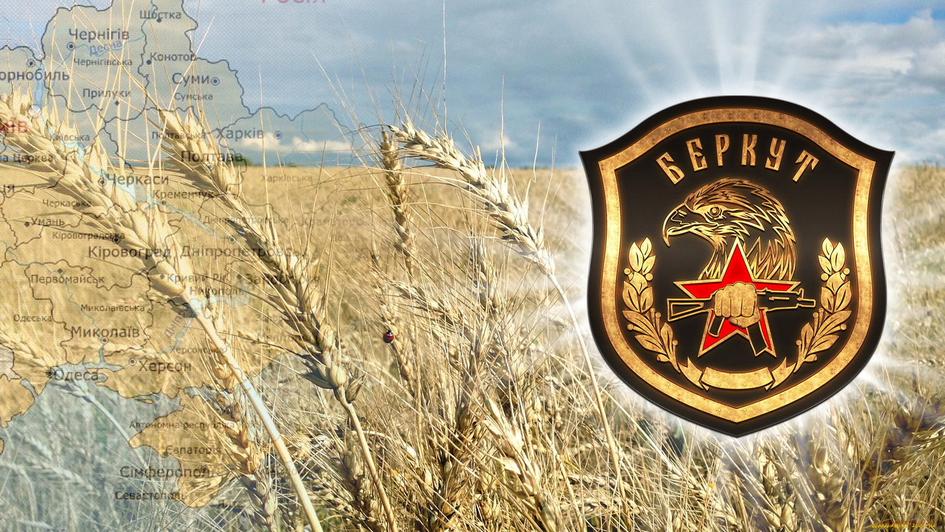 разное, надписи, , логотипы, , знаки, беркут