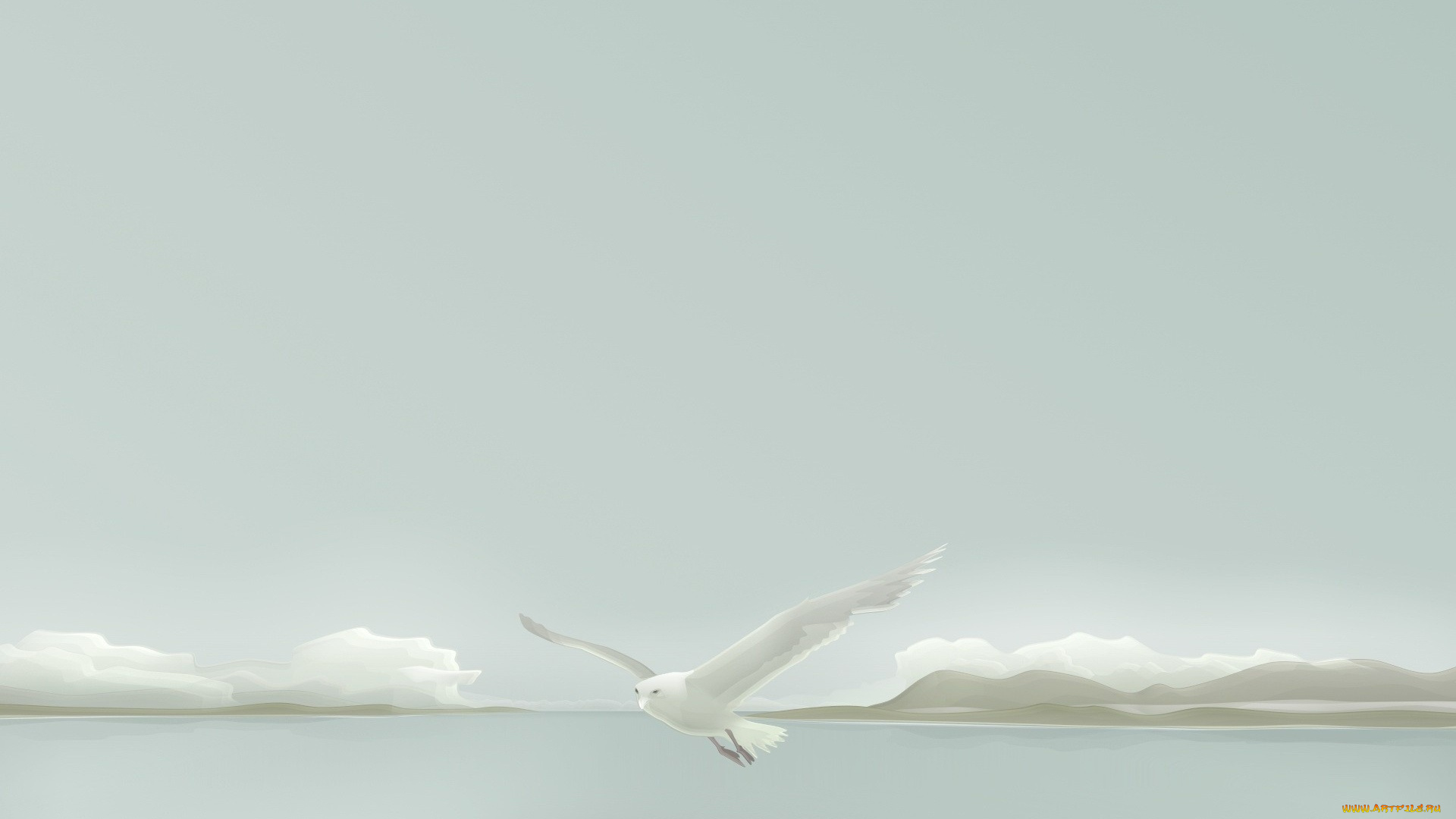 векторная, графика, животные, горы, море, полет, облака, чайка, небо
