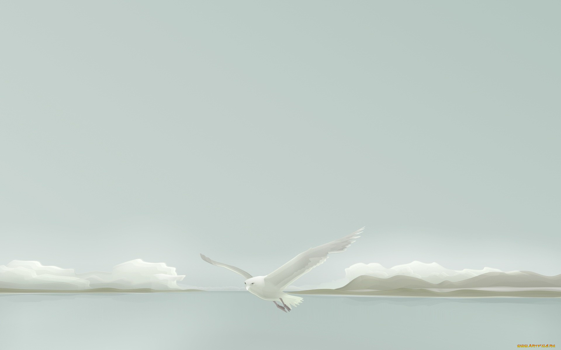 векторная, графика, животные, горы, море, полет, облака, чайка, небо
