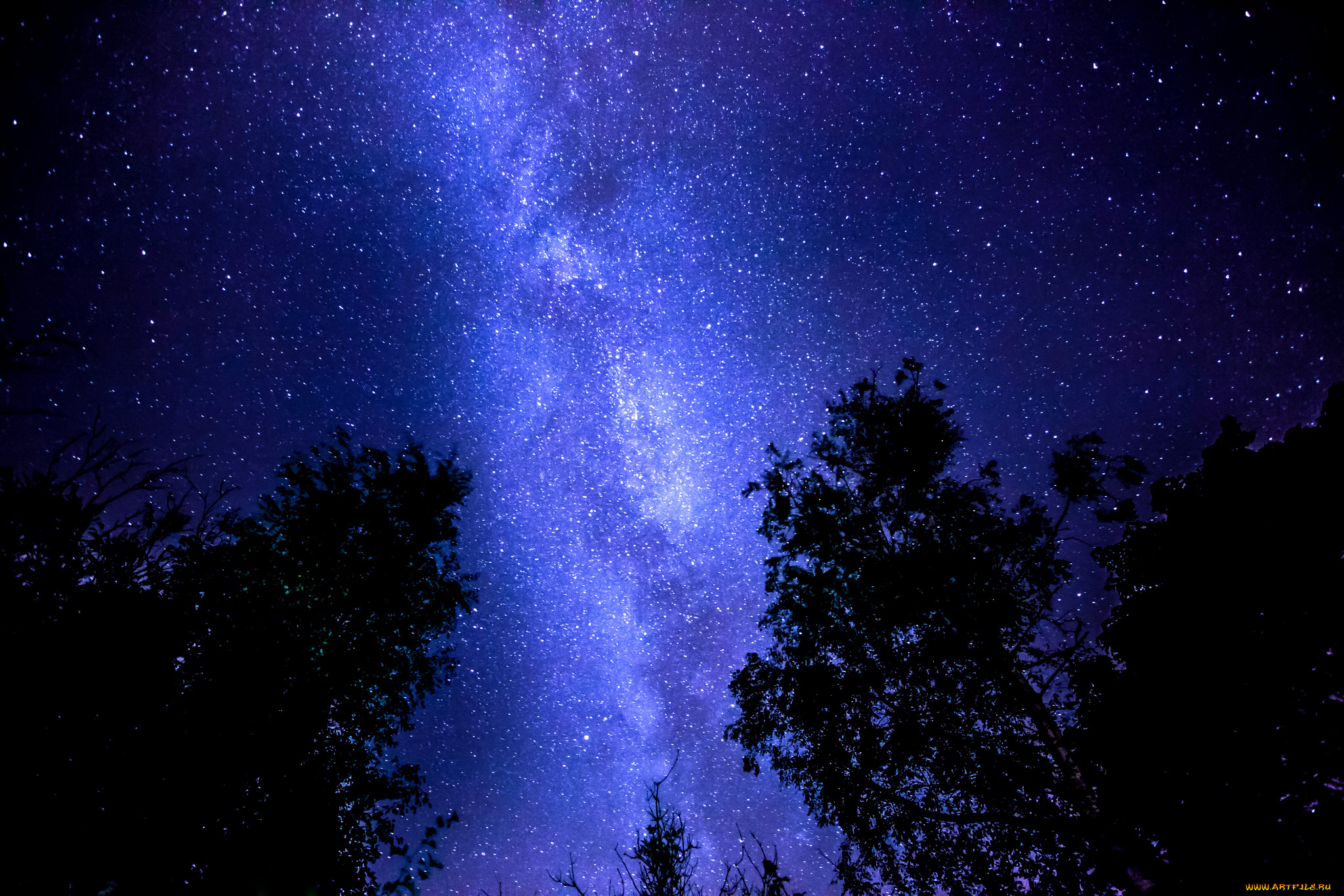 разное, компьютерный, дизайн, млечный, путь, небо, деревья, ночь, звёзды