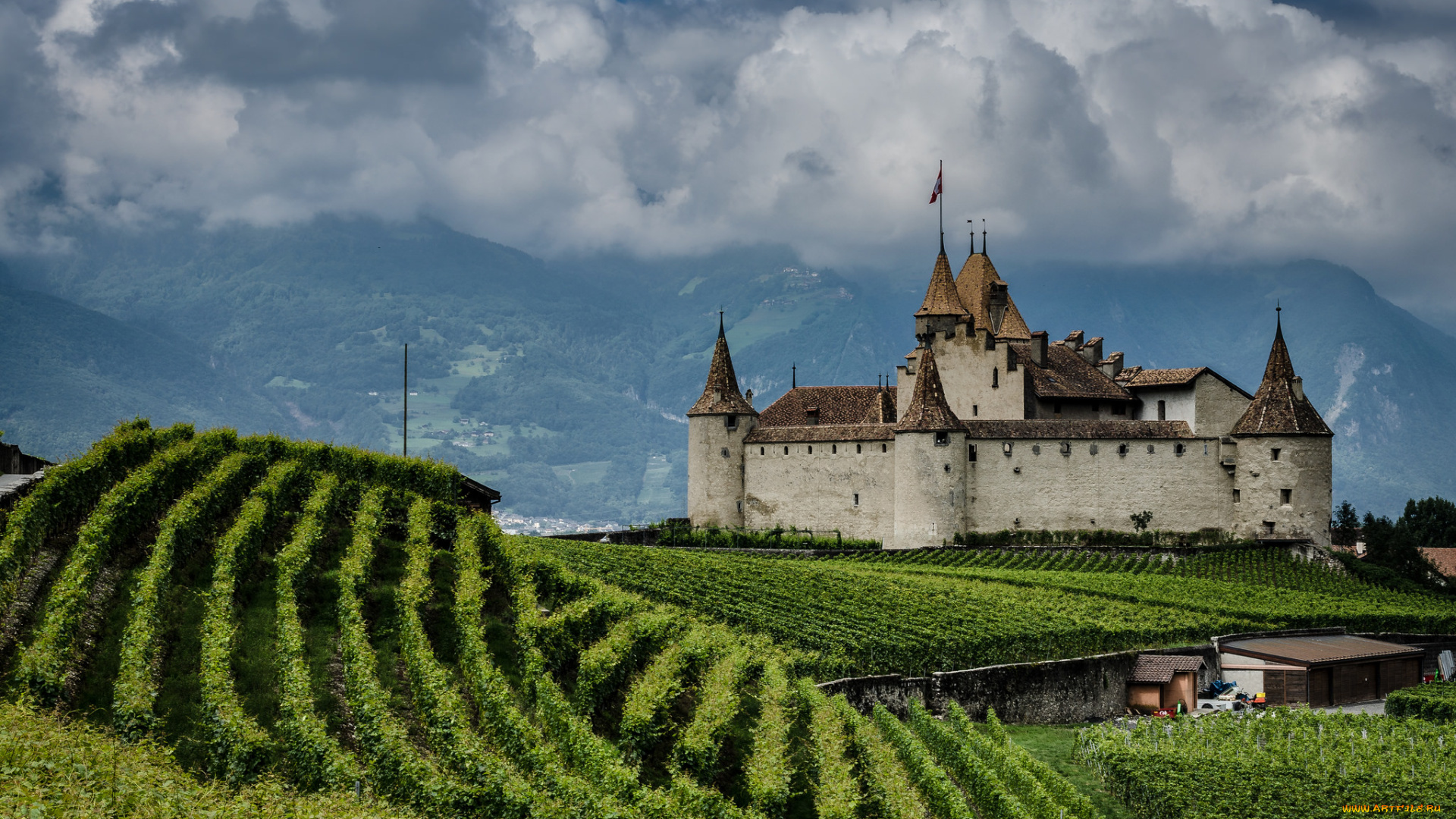classy, castle, города, -, дворцы, , замки, , крепости, горы, замок, виноградник