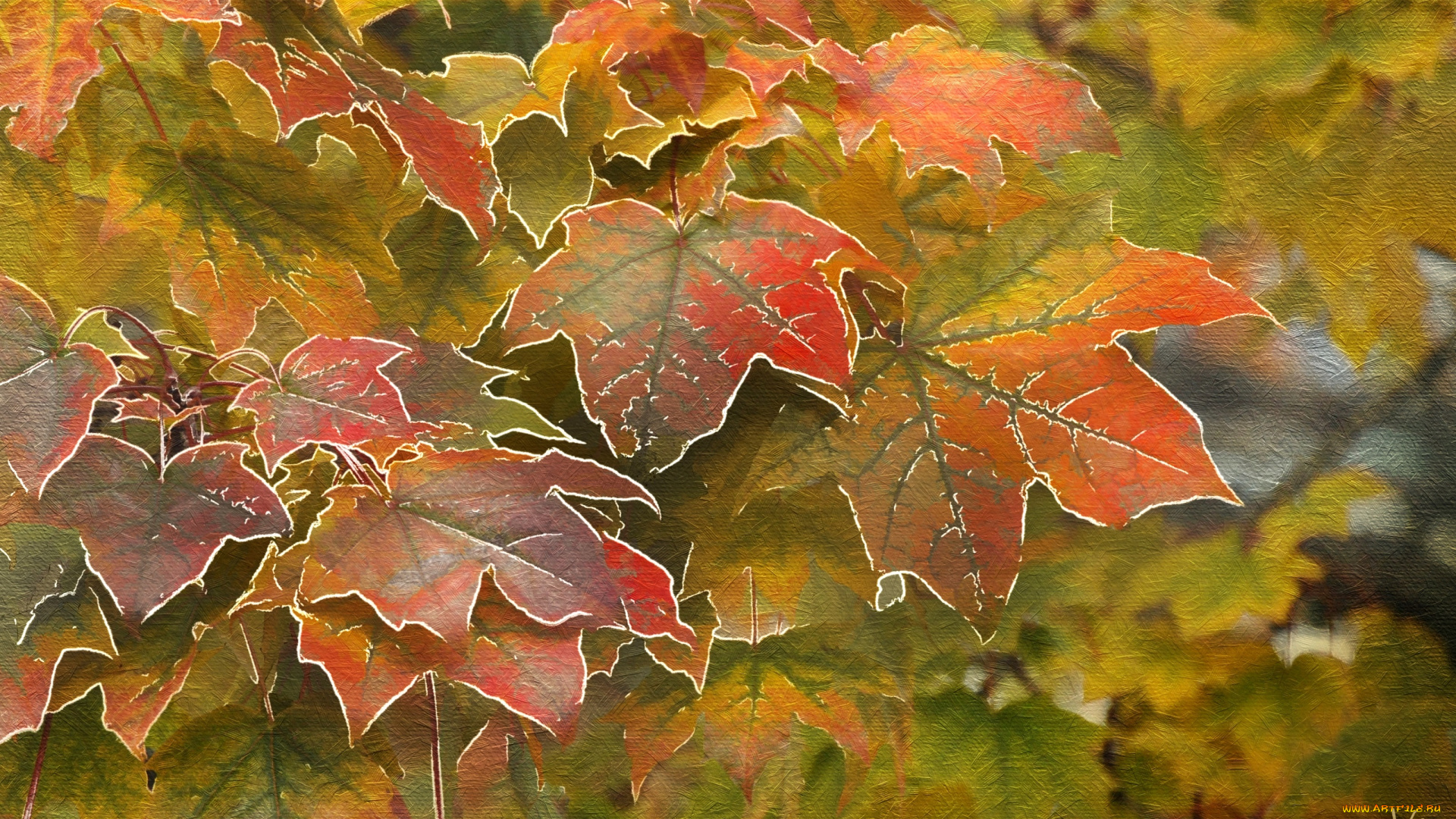 рисованное, природа, клен, осень, листья