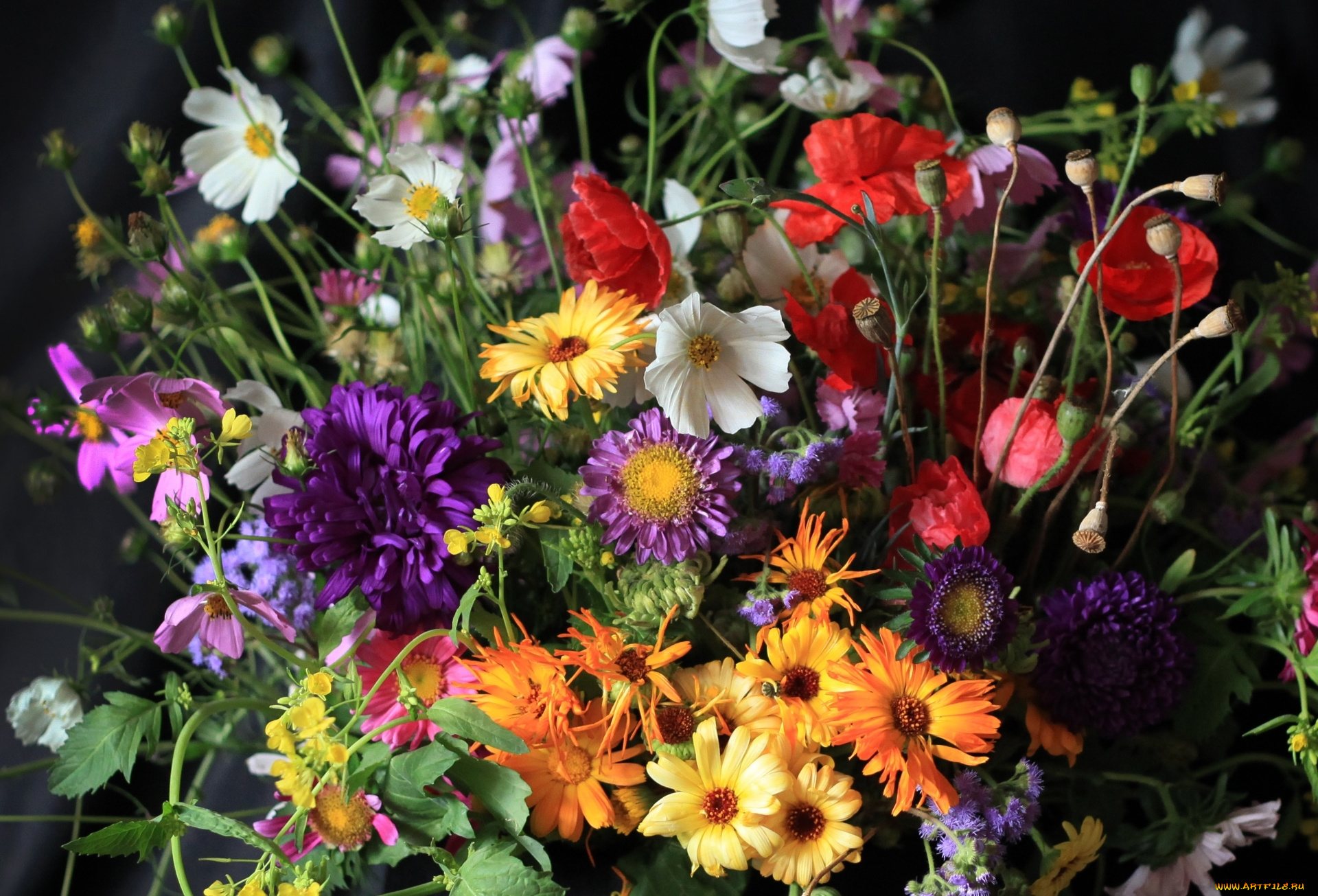 цветы, букеты, , композиции, букет, мак, астра, календула, космея