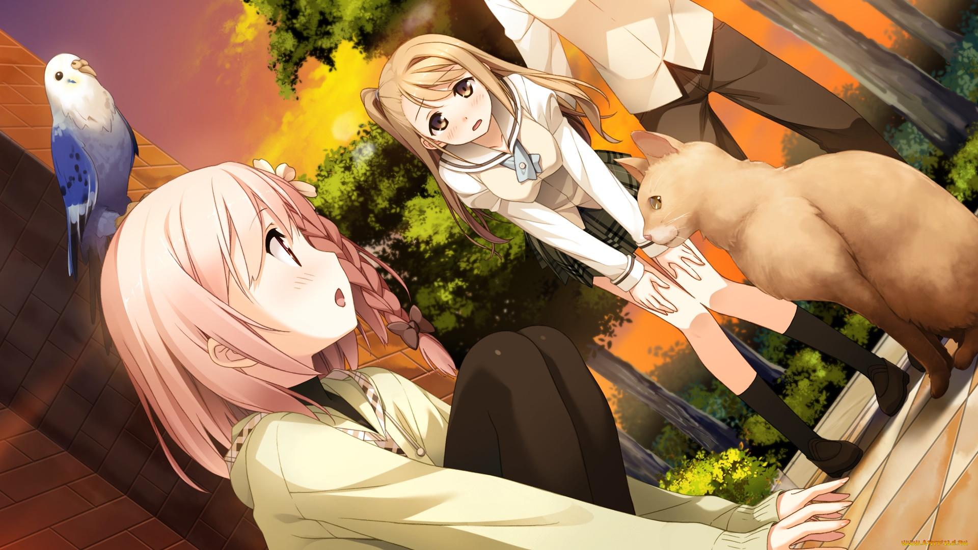 аниме, your, diary, фон, взгляд, девушка