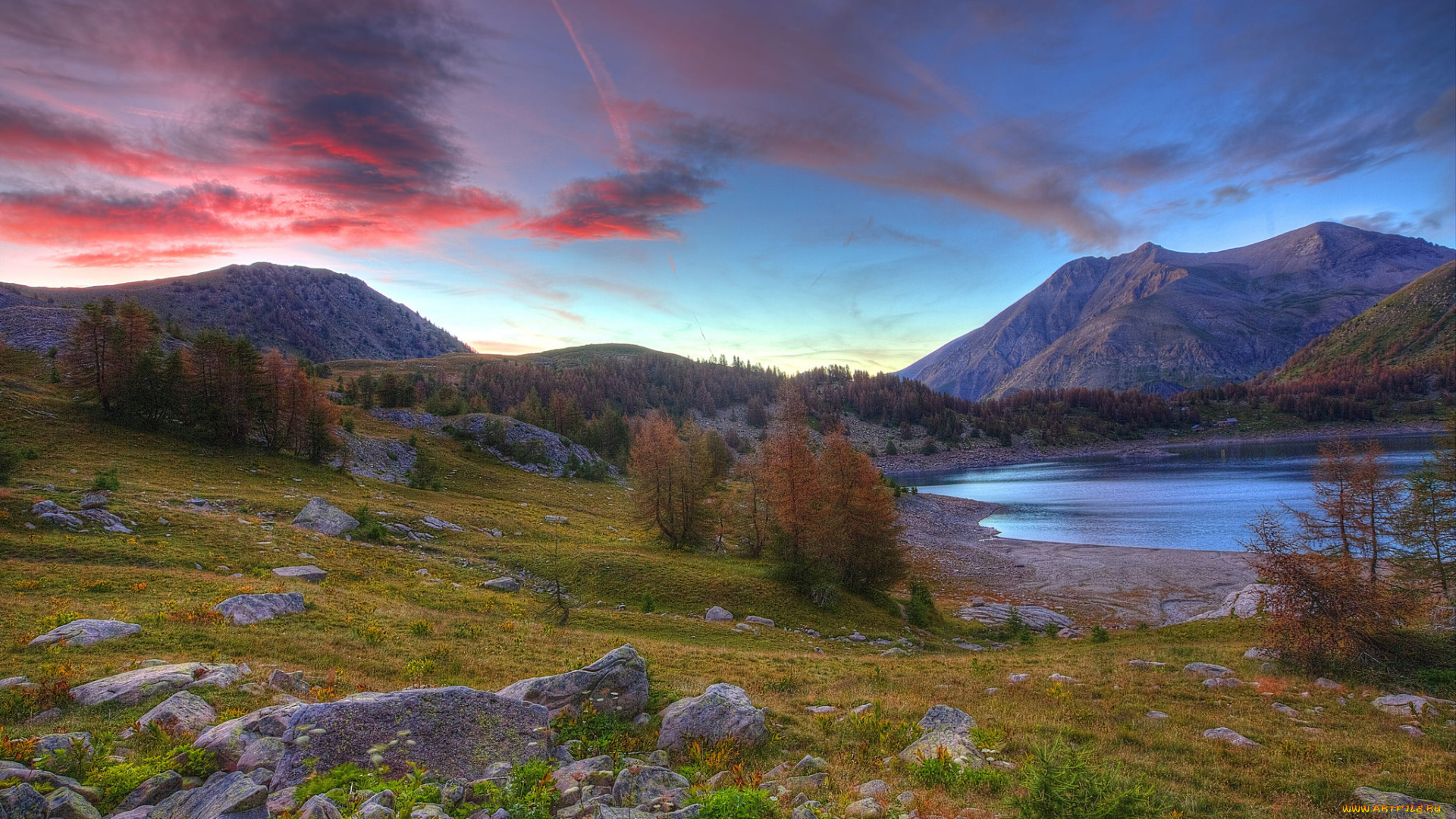 природа, реки, озера, лес, река