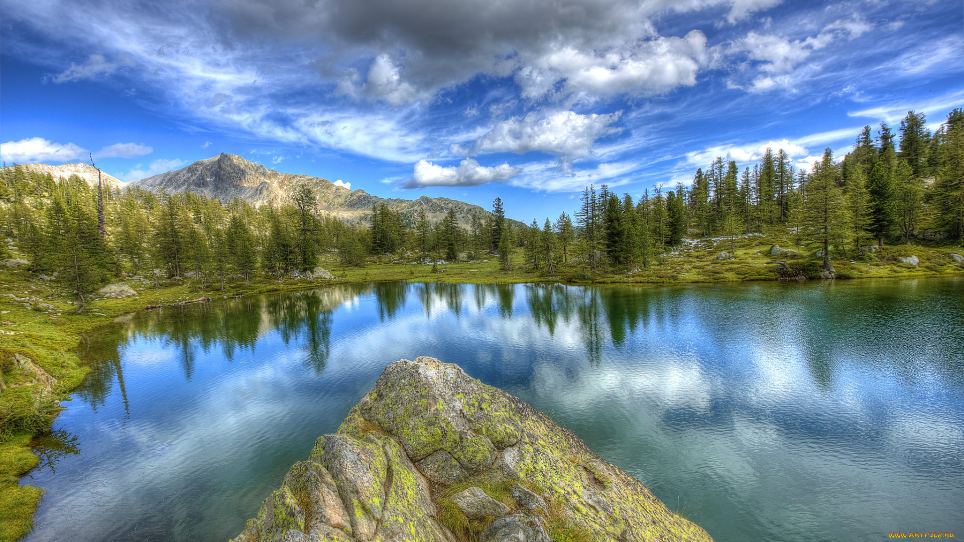 природа, реки, озера, лес, река