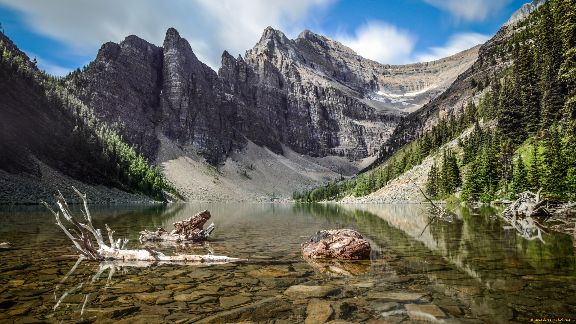 природа, реки, озера, лес, река