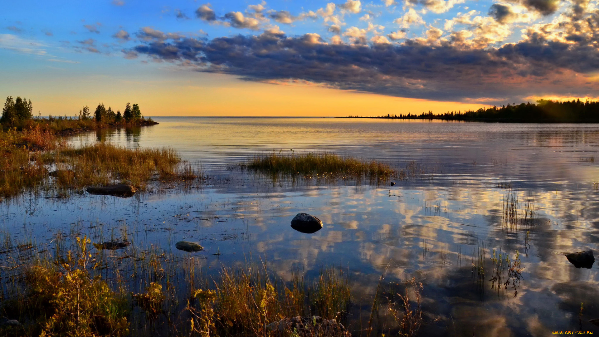 природа, реки, озера, река, лес