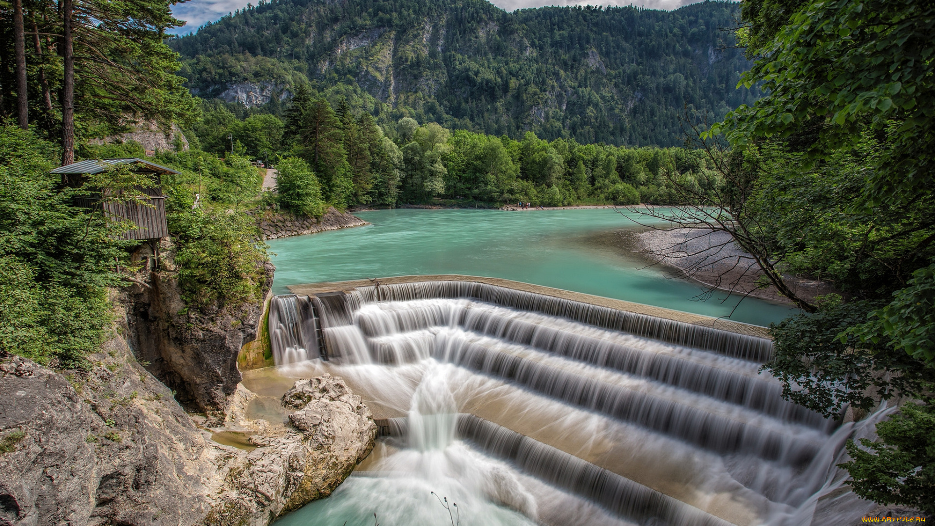 природа, реки, озера, река, лес