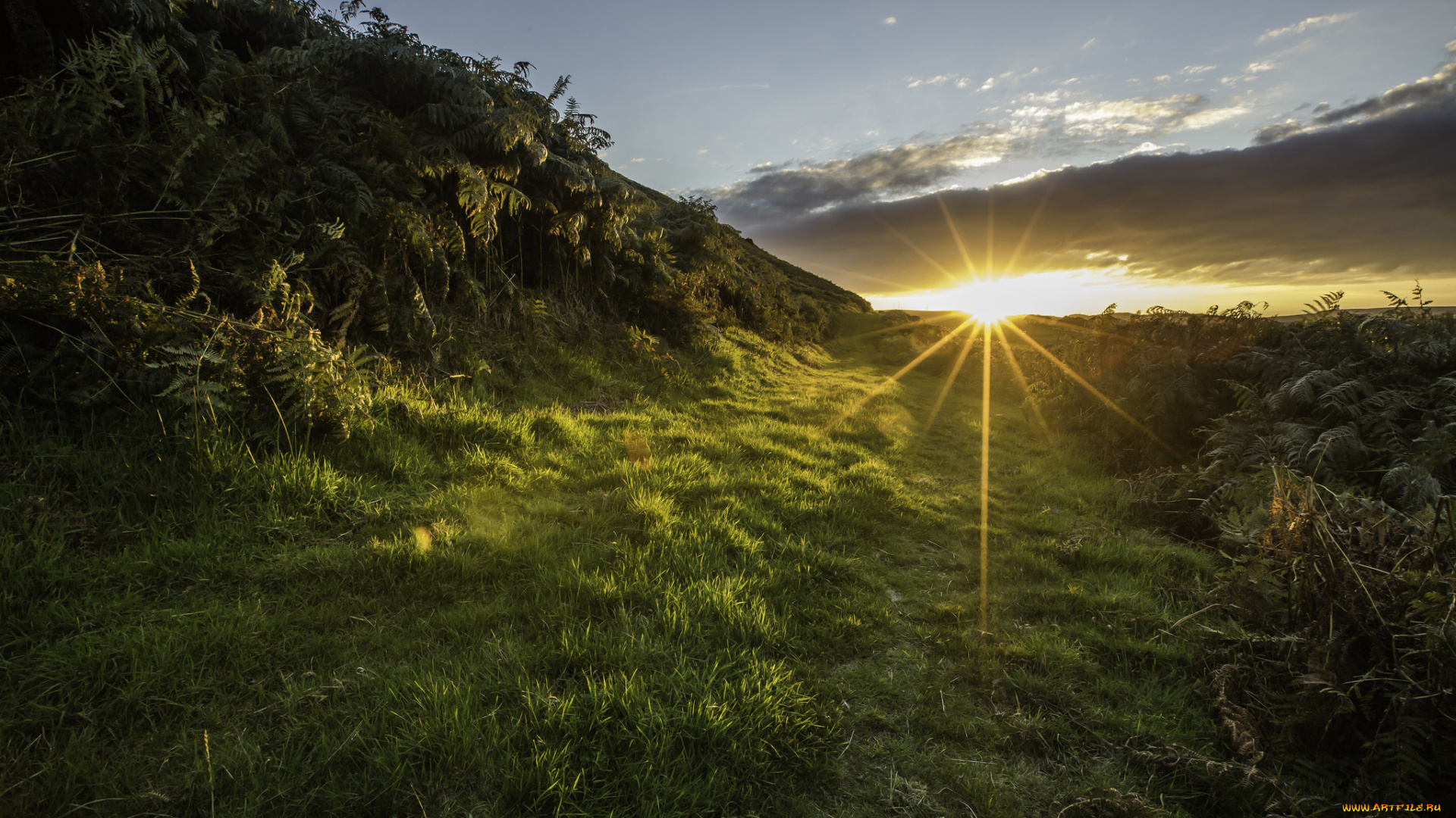 природа, восходы, закаты, рассвет