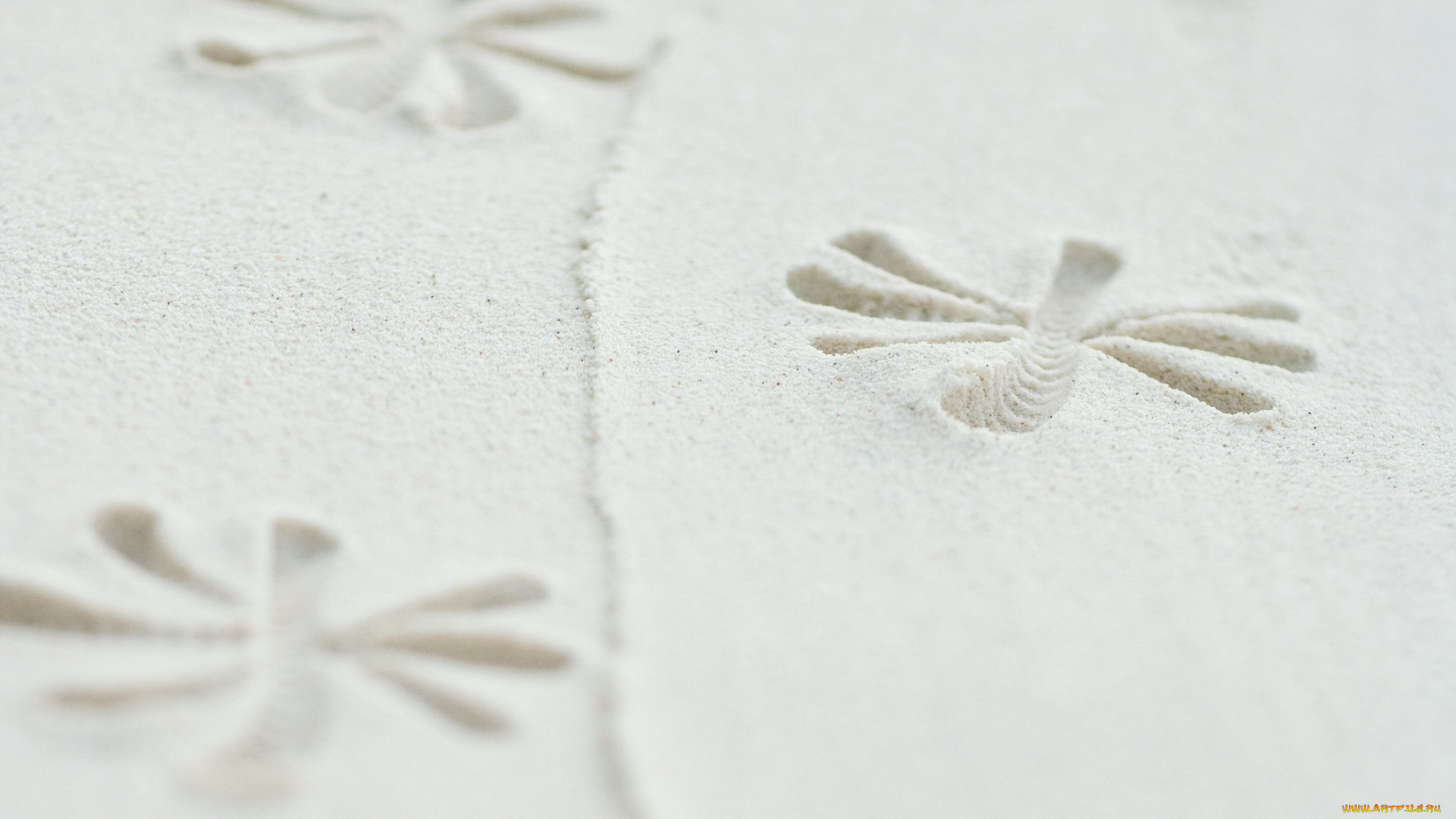 текстура, разное, текстуры, песок