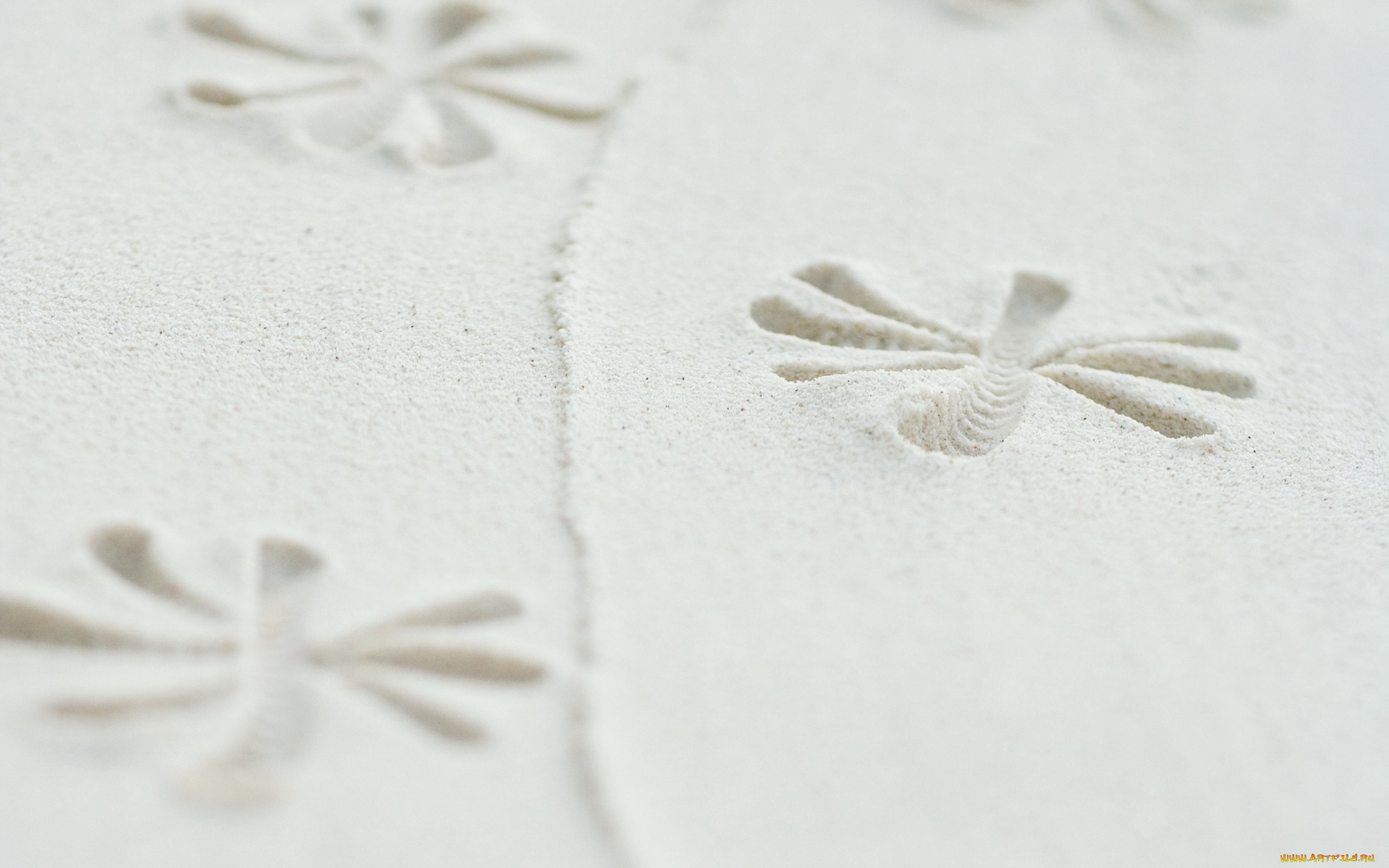 текстура, разное, текстуры, песок