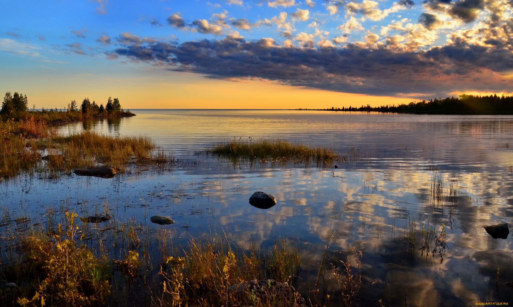 природа, реки, озера, река, лес