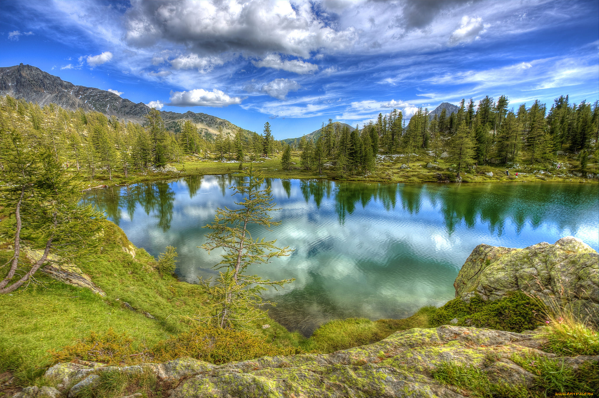 природа, реки, озера, река, лес