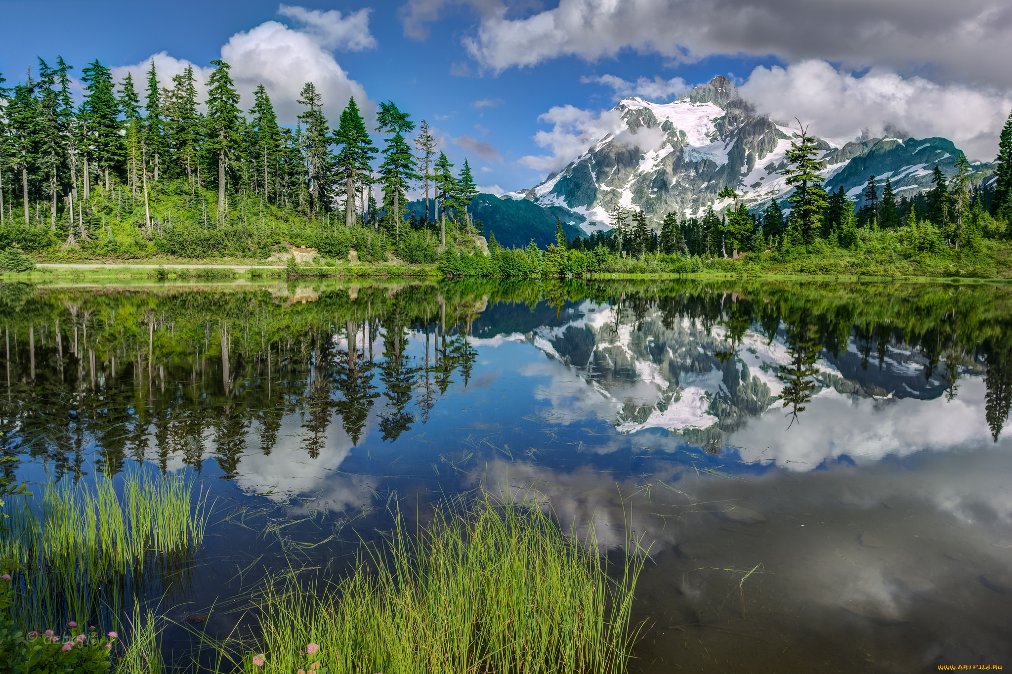 природа, реки, озера, река, лес