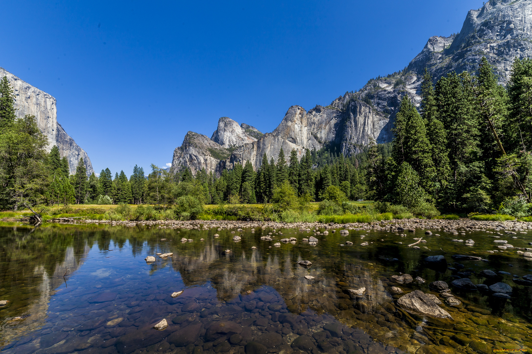 природа, реки, озера, река, лес