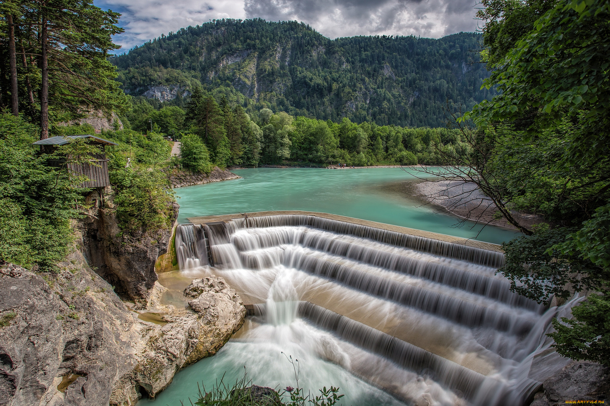 природа, реки, озера, река, лес