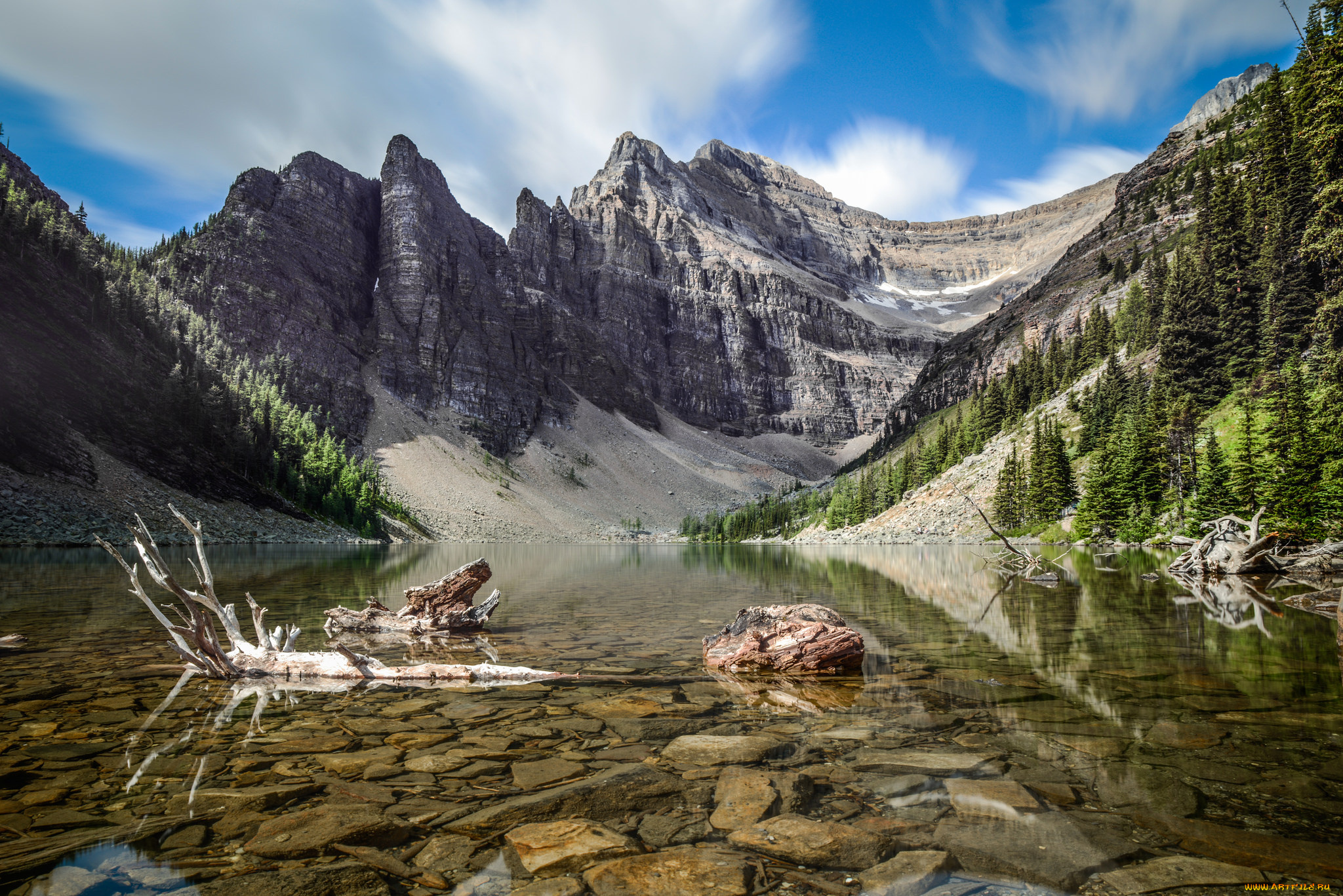 природа, реки, озера, лес, река